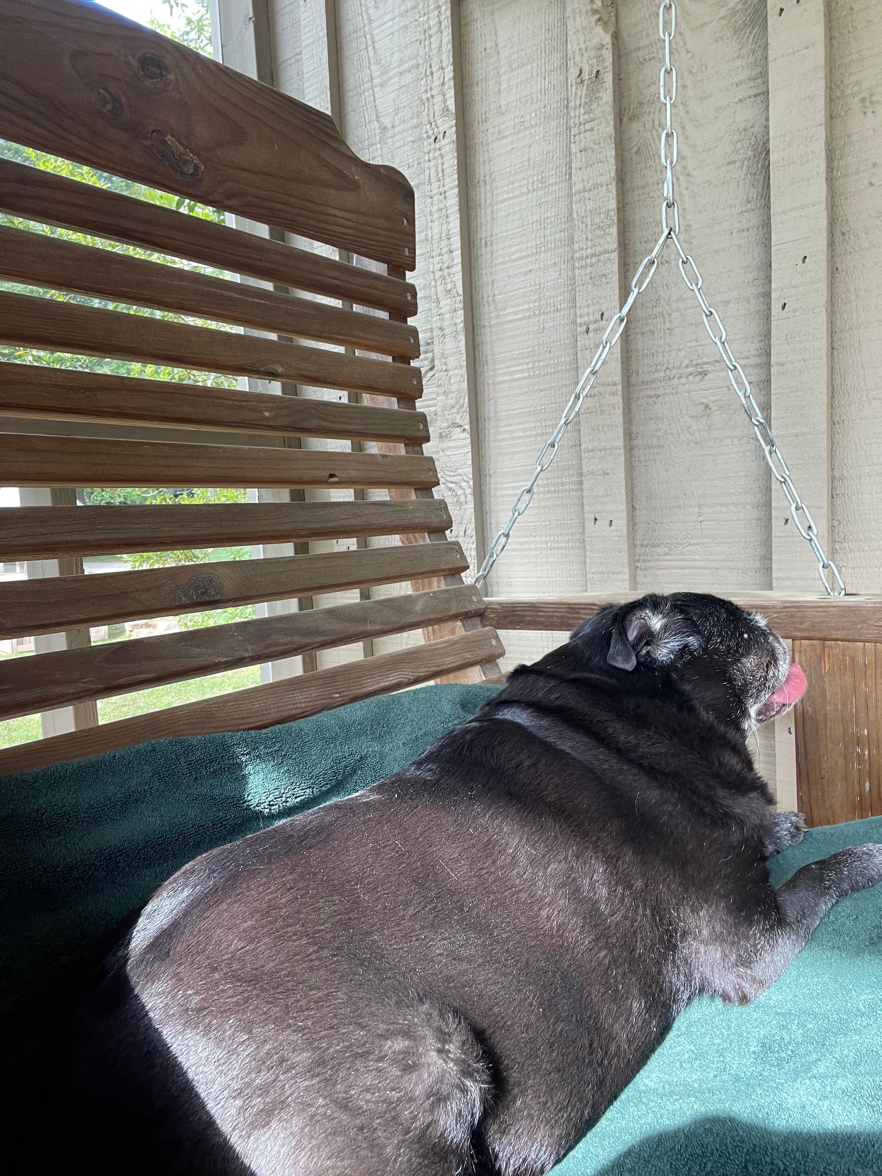 Porch Swing