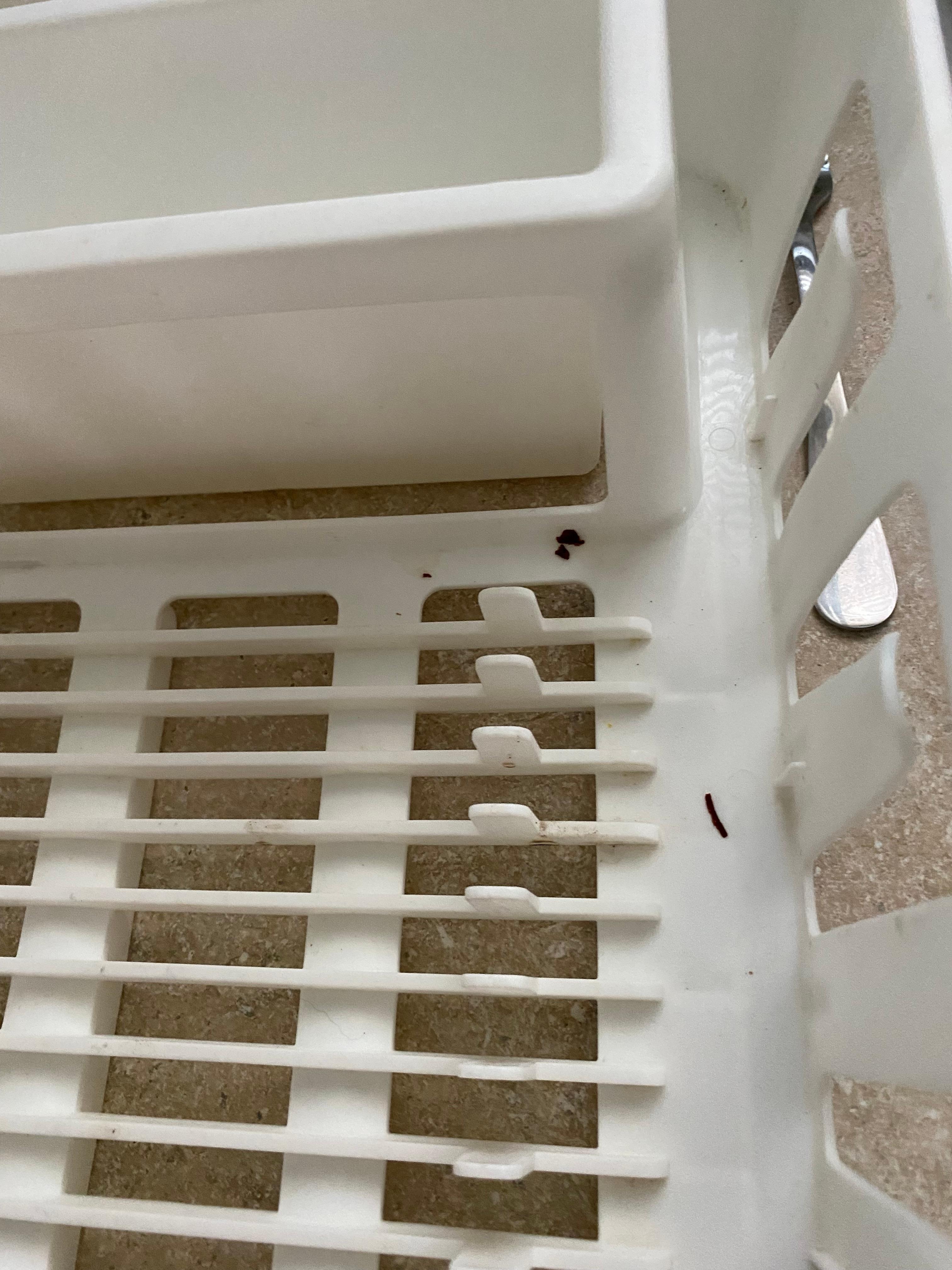 Dish drainer stored under sink next to carbage