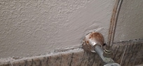 Soft wall and smell of mold