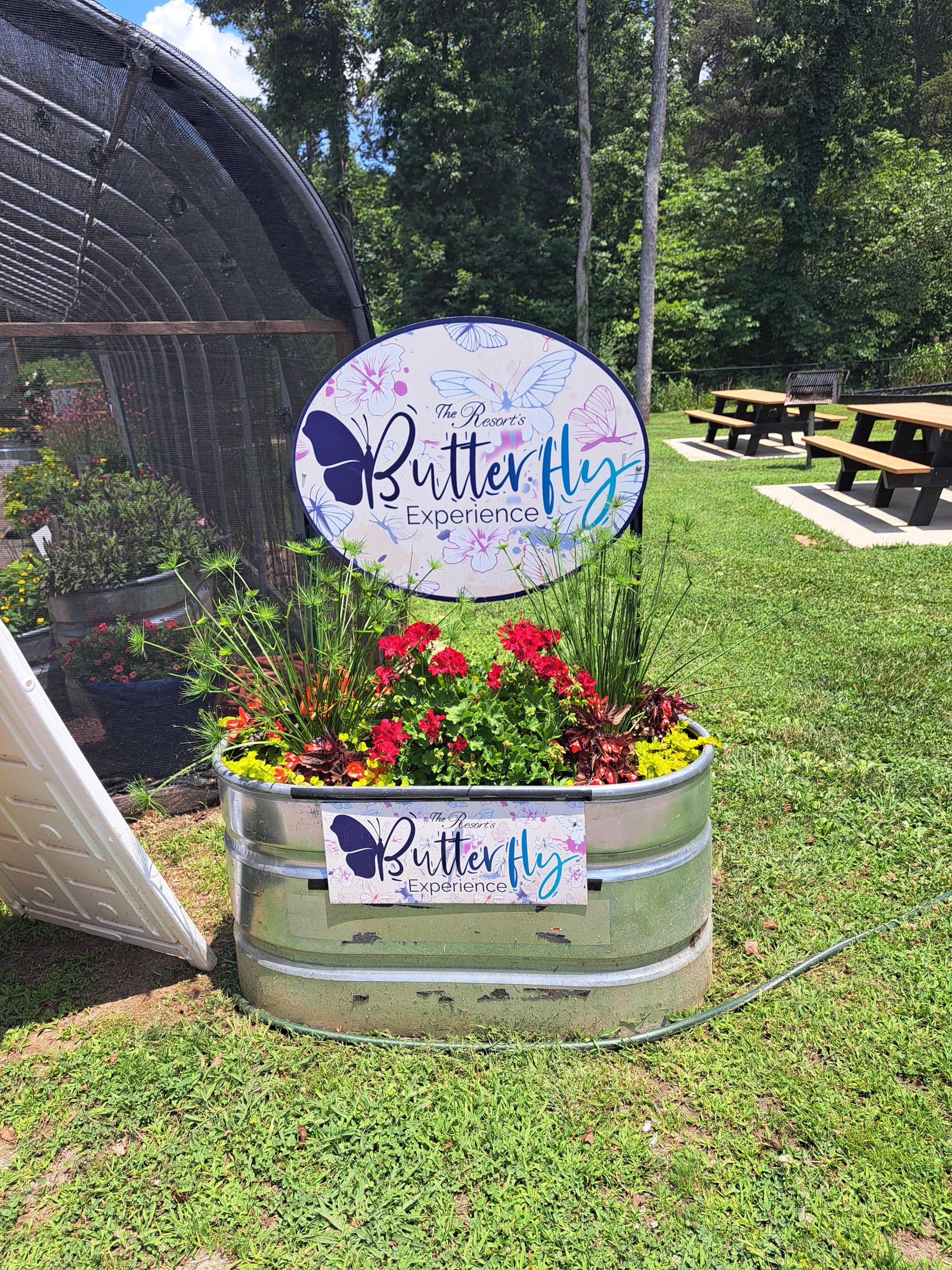 Butterfly house during the summer