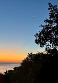 dawn from the living room window