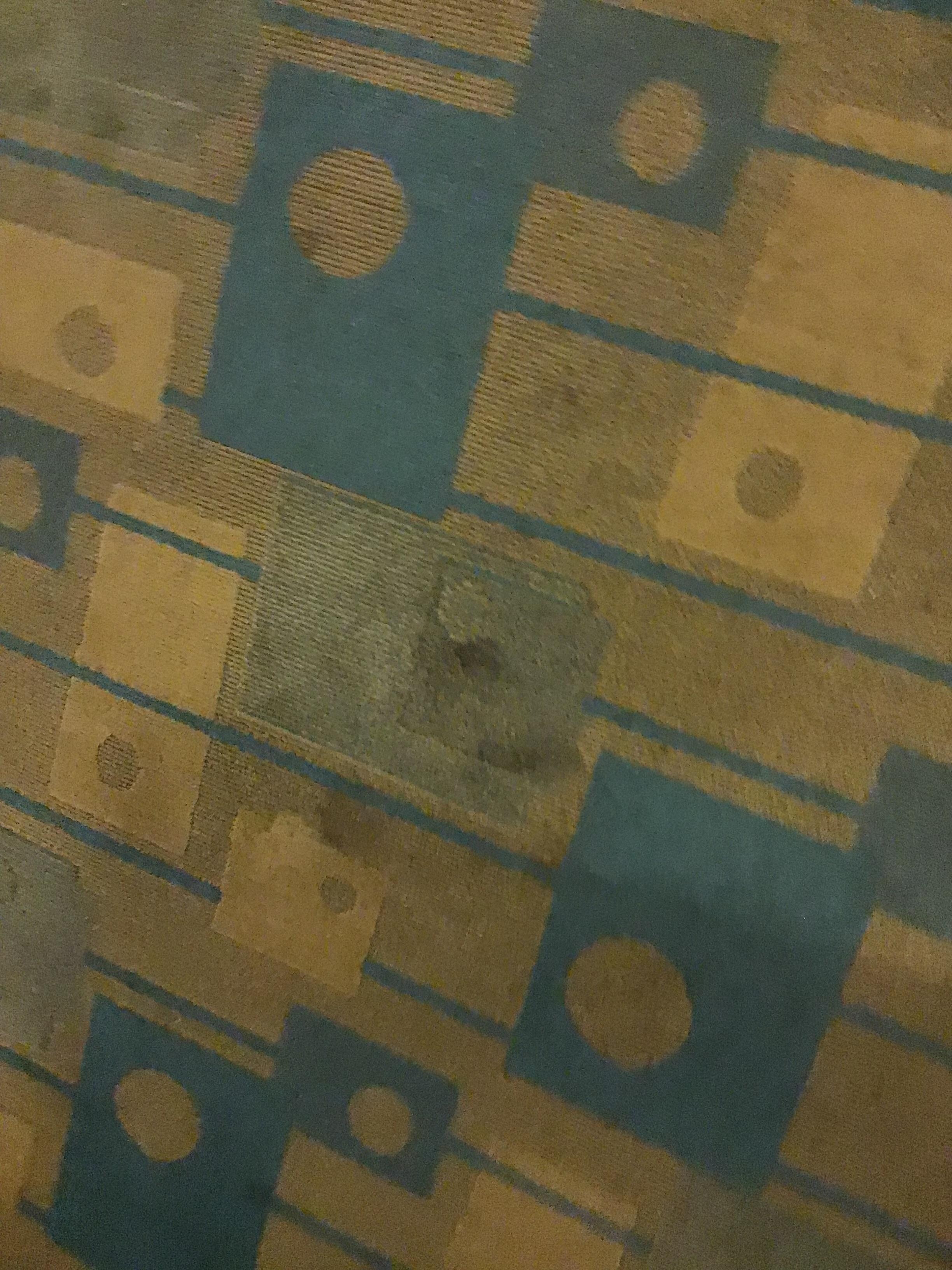 Stained carpet