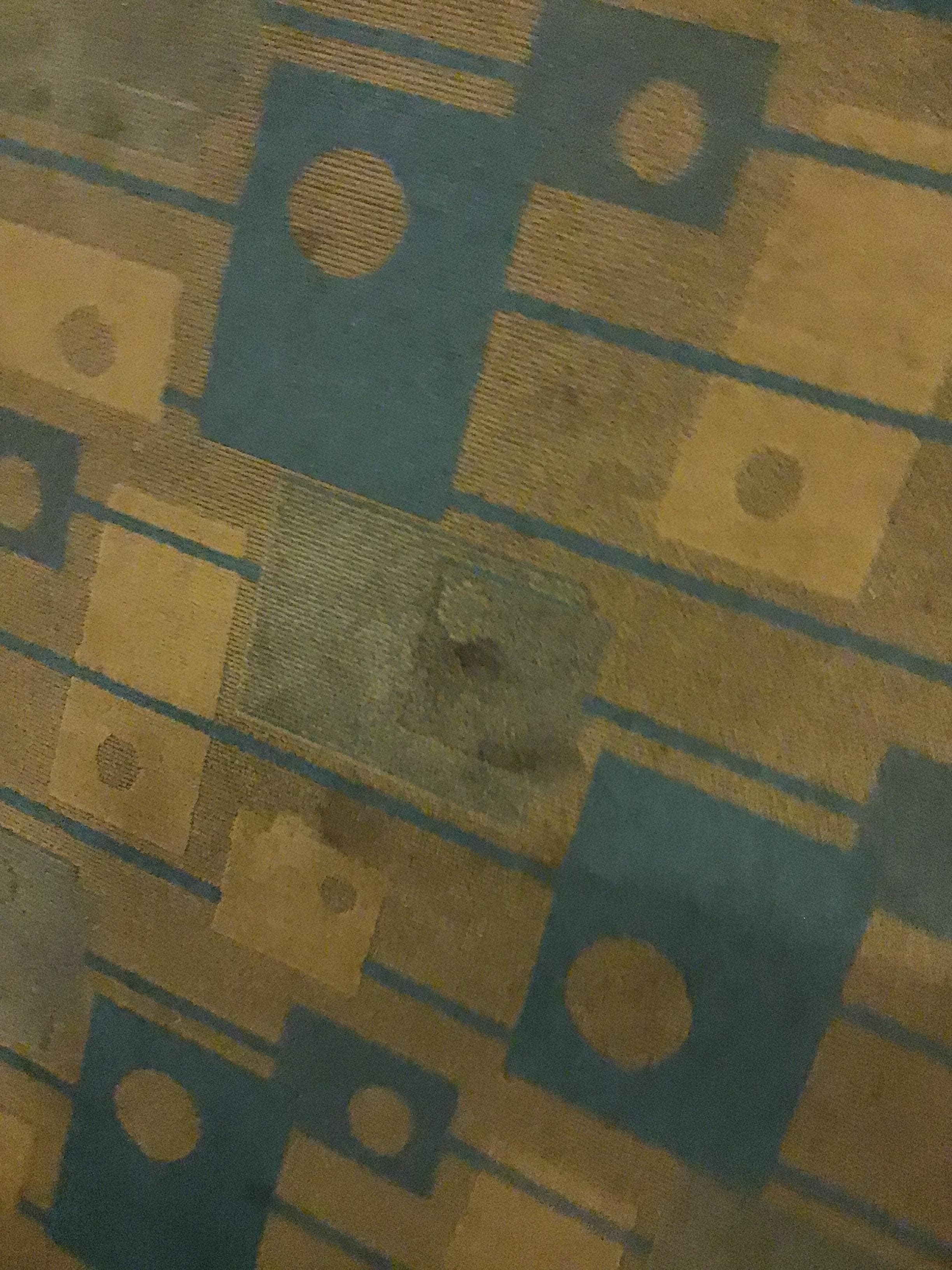 Stained carpet