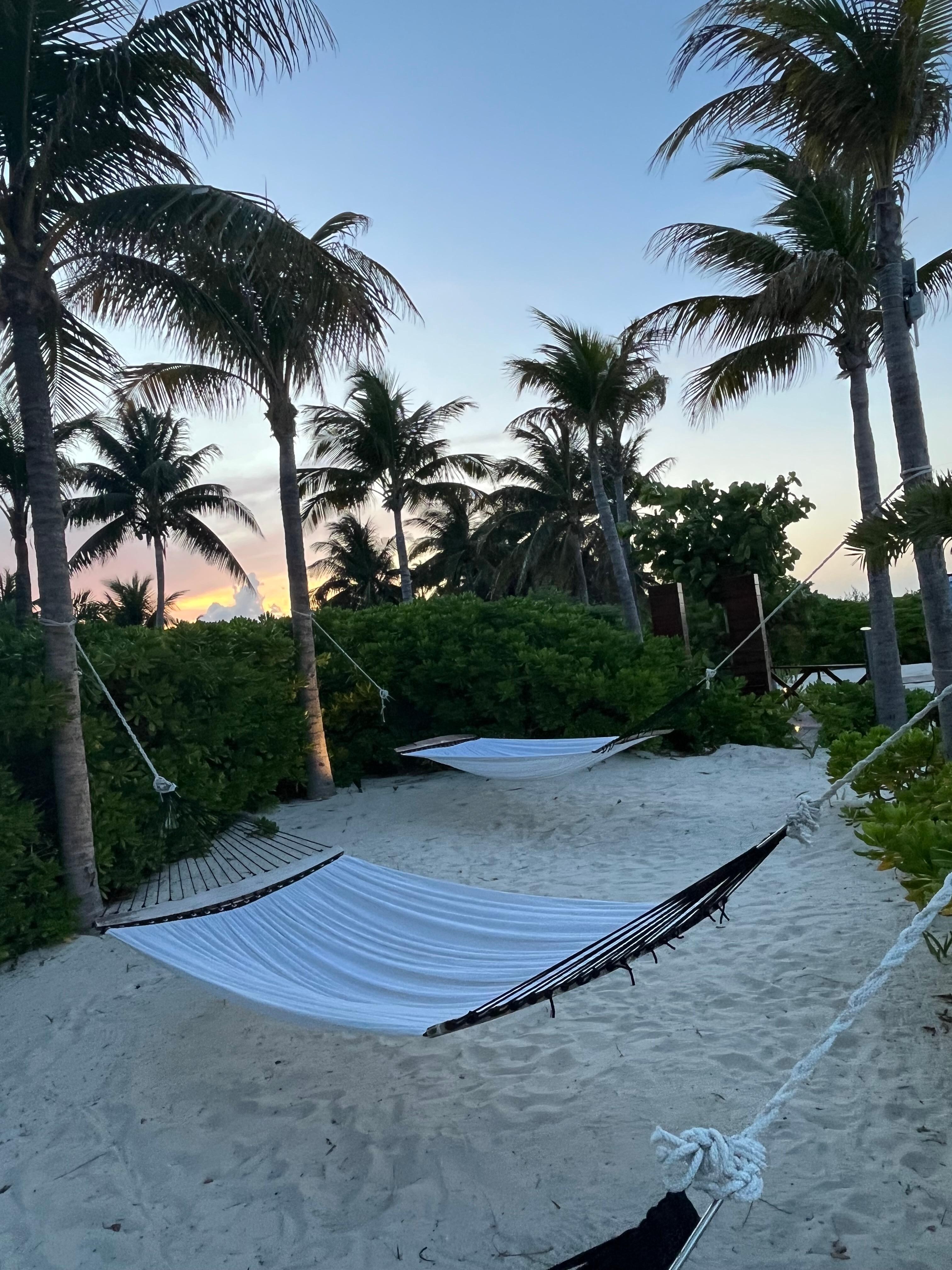 Hammocks at sunset