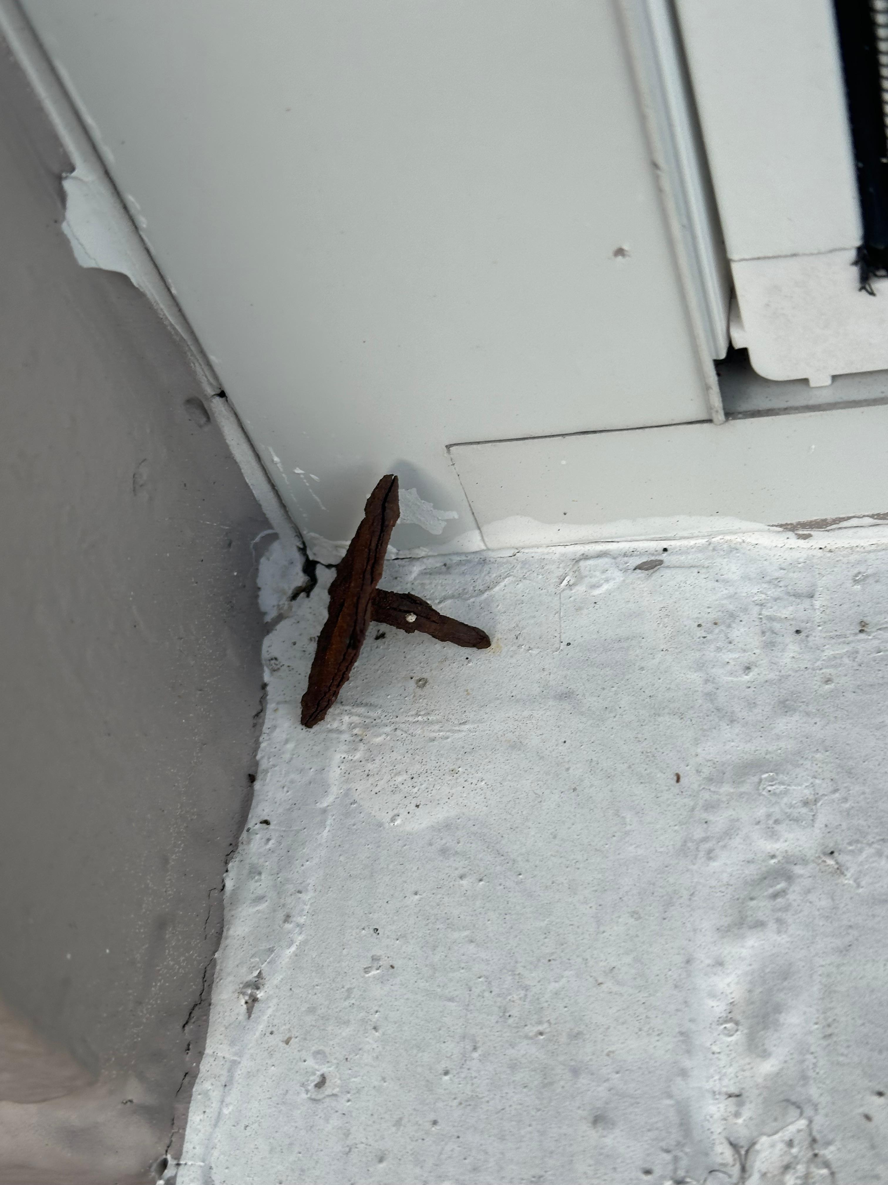 Rusty nail in back porch that could have hurt our children, I moved out of the way