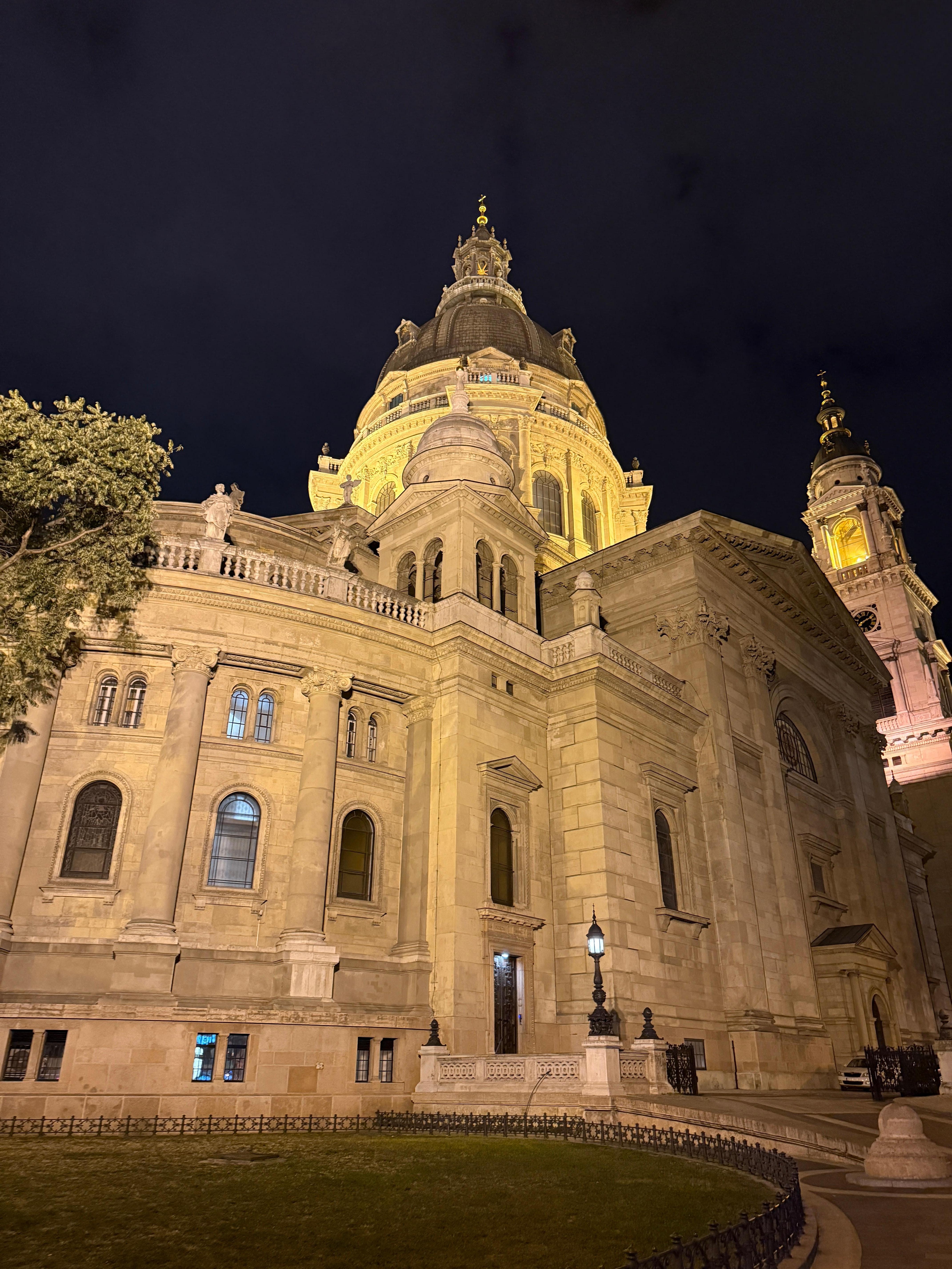 Our first night walk