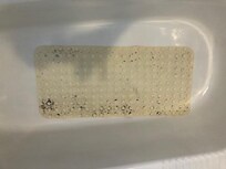 mold on bathmat