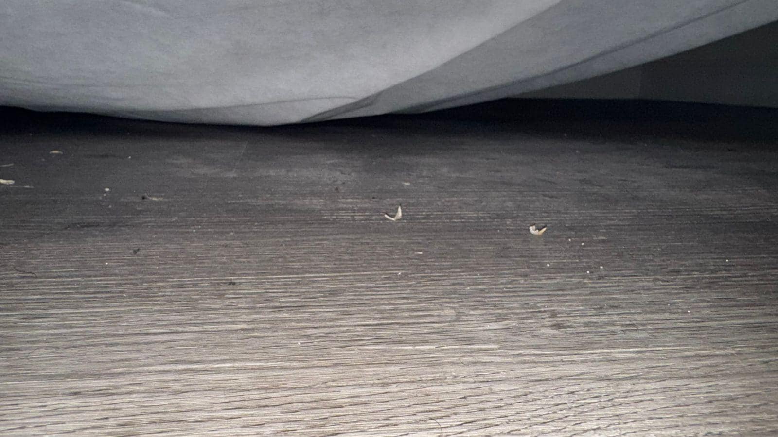 Unas cuantas uñas en el piso