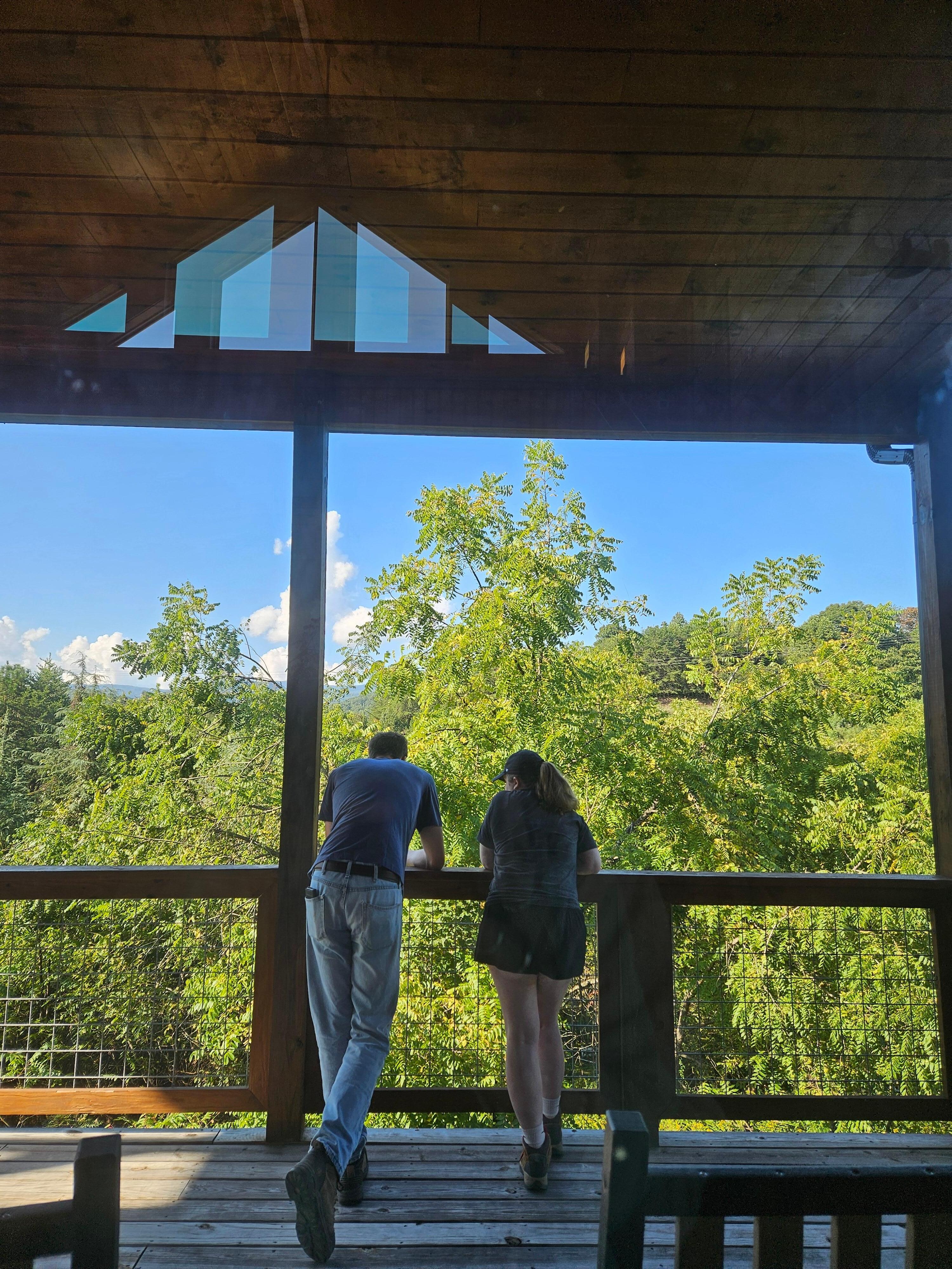 This is the view just off the living room.