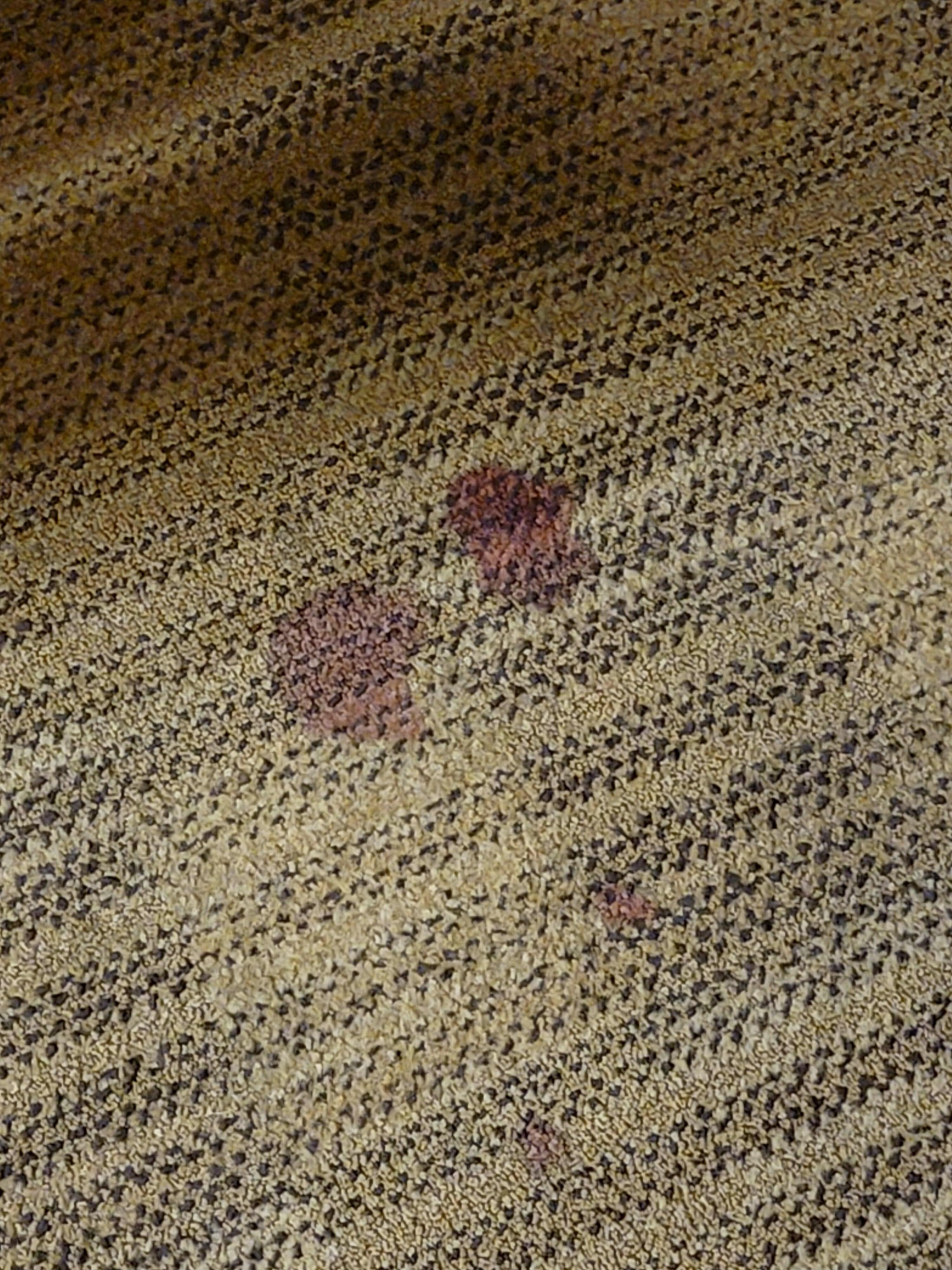 Stain on carpet 
