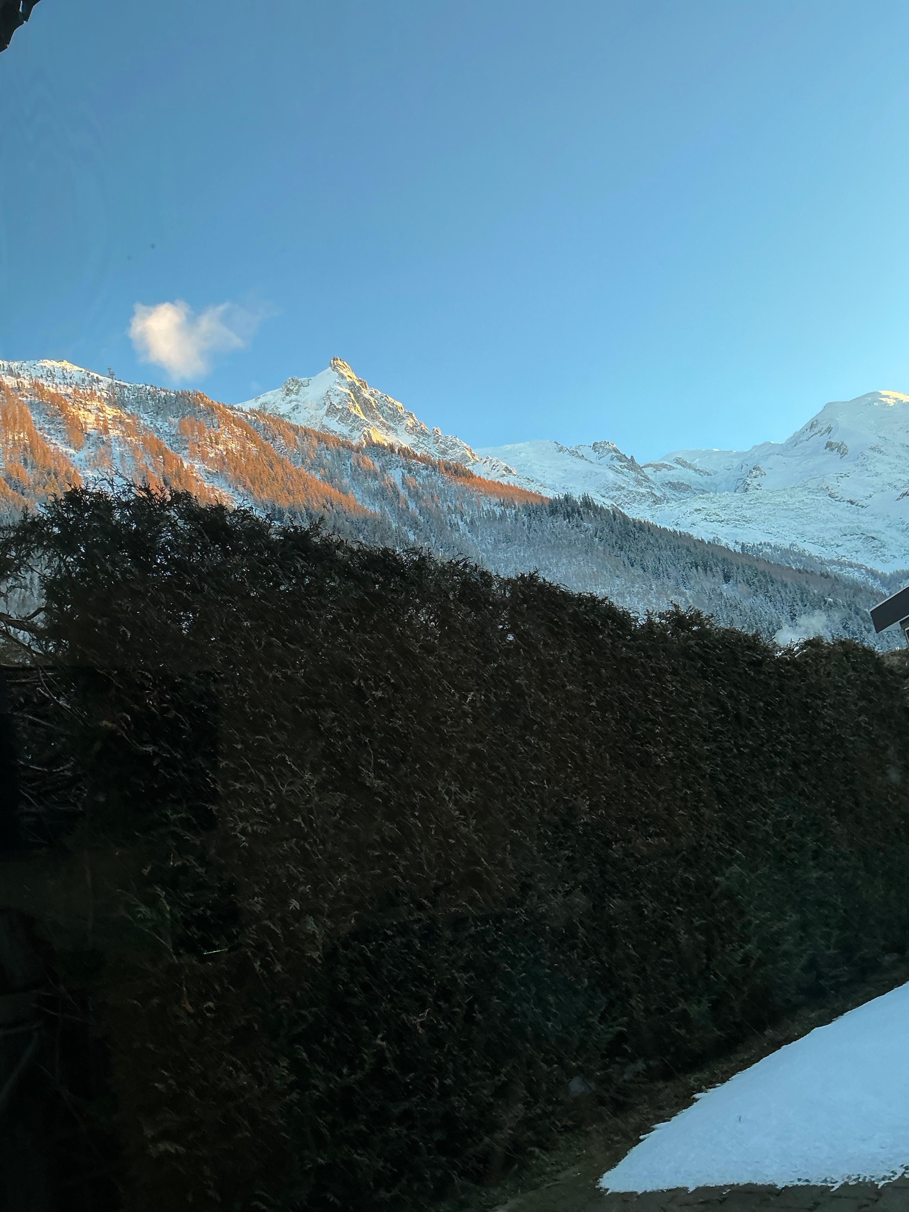 View from back window 