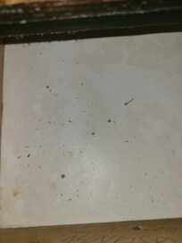 Nightstand drawer. Bugs?