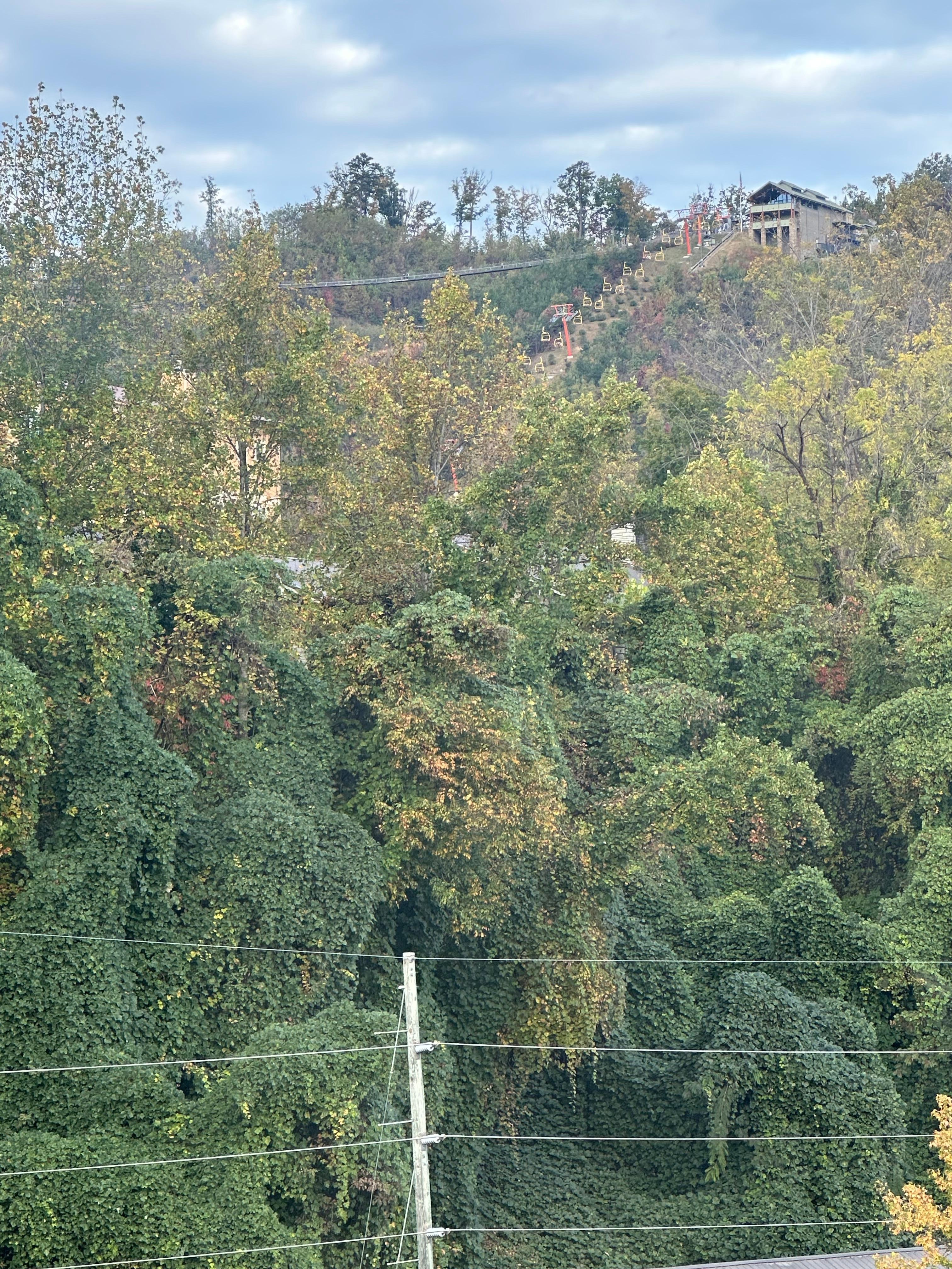 View from the balcony of the glass bridge was beautiful. We also saw bears!
