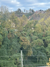 View from the balcony of the glass bridge was beautiful. We also saw bears!