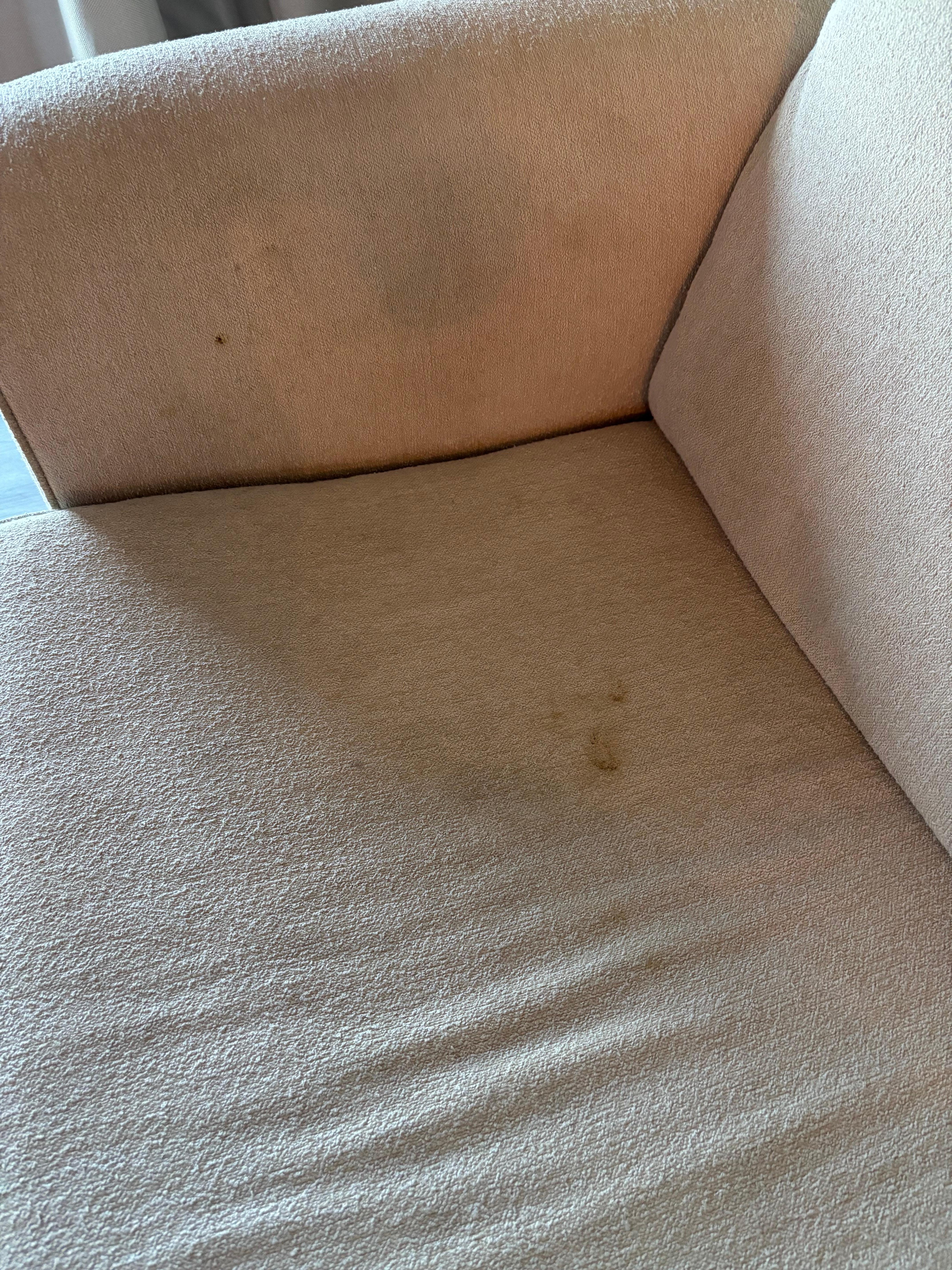 Couch needs cleaning, owners probably not aware of it being dirty