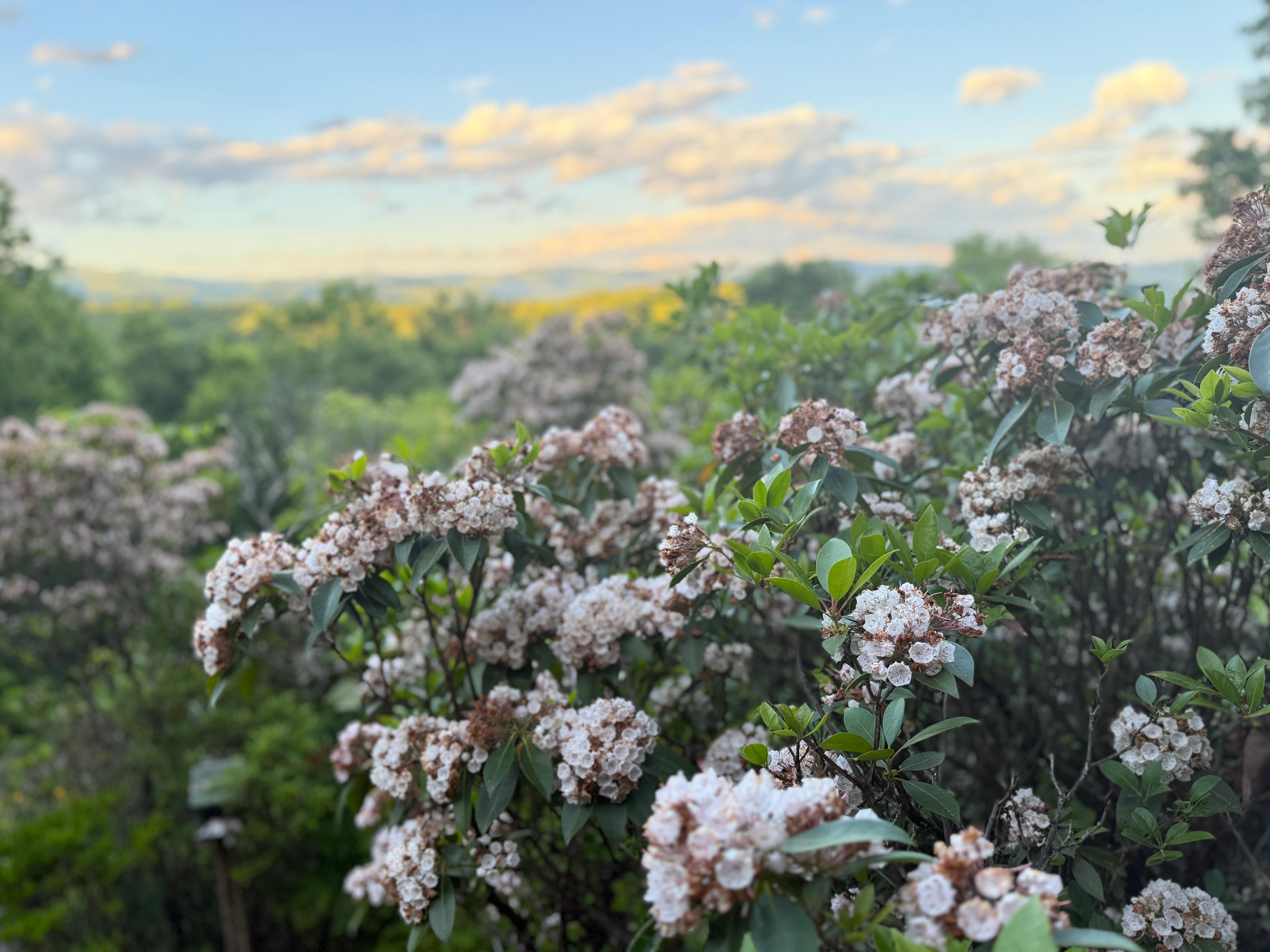 The best sunsets. 😍