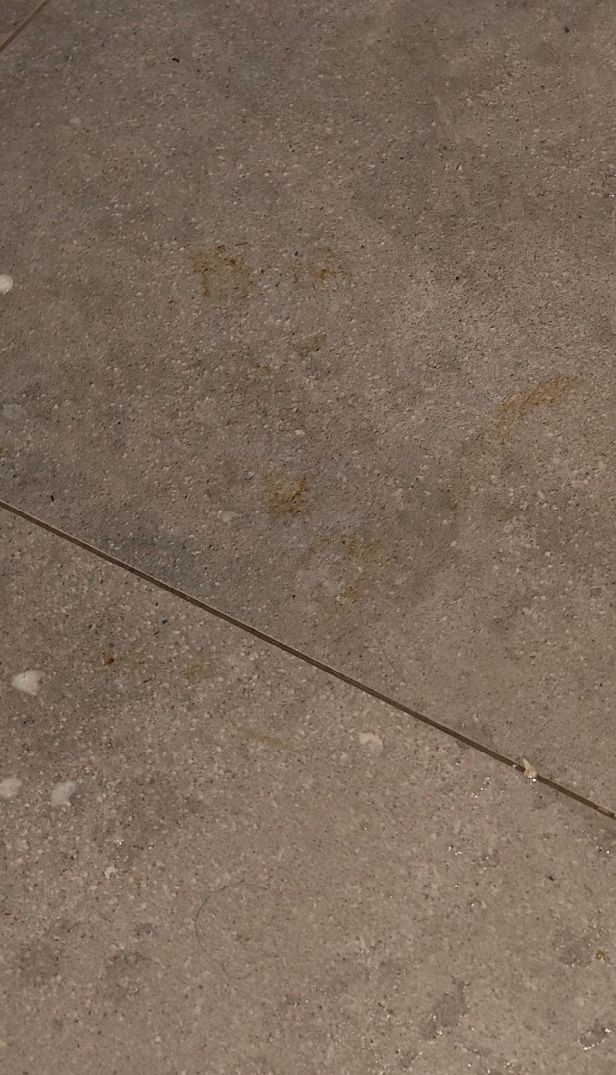 Suelo manchado con heces y nada para poder limpiarlo. Obviamente a los dos días use las duchas y papel que luego tire 