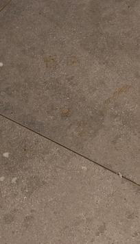 Suelo manchado con heces y nada para poder limpiarlo. Obviamente a los dos días use las duchas y papel que luego tire