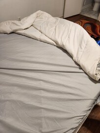 Stains on mattress protector, it's ripped on the underside and there's no top sheet only a comforter.