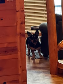 Luna making sure we were still there. Lol