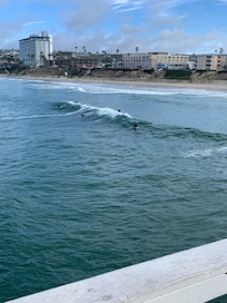 A pier near the condo for fishing or watching