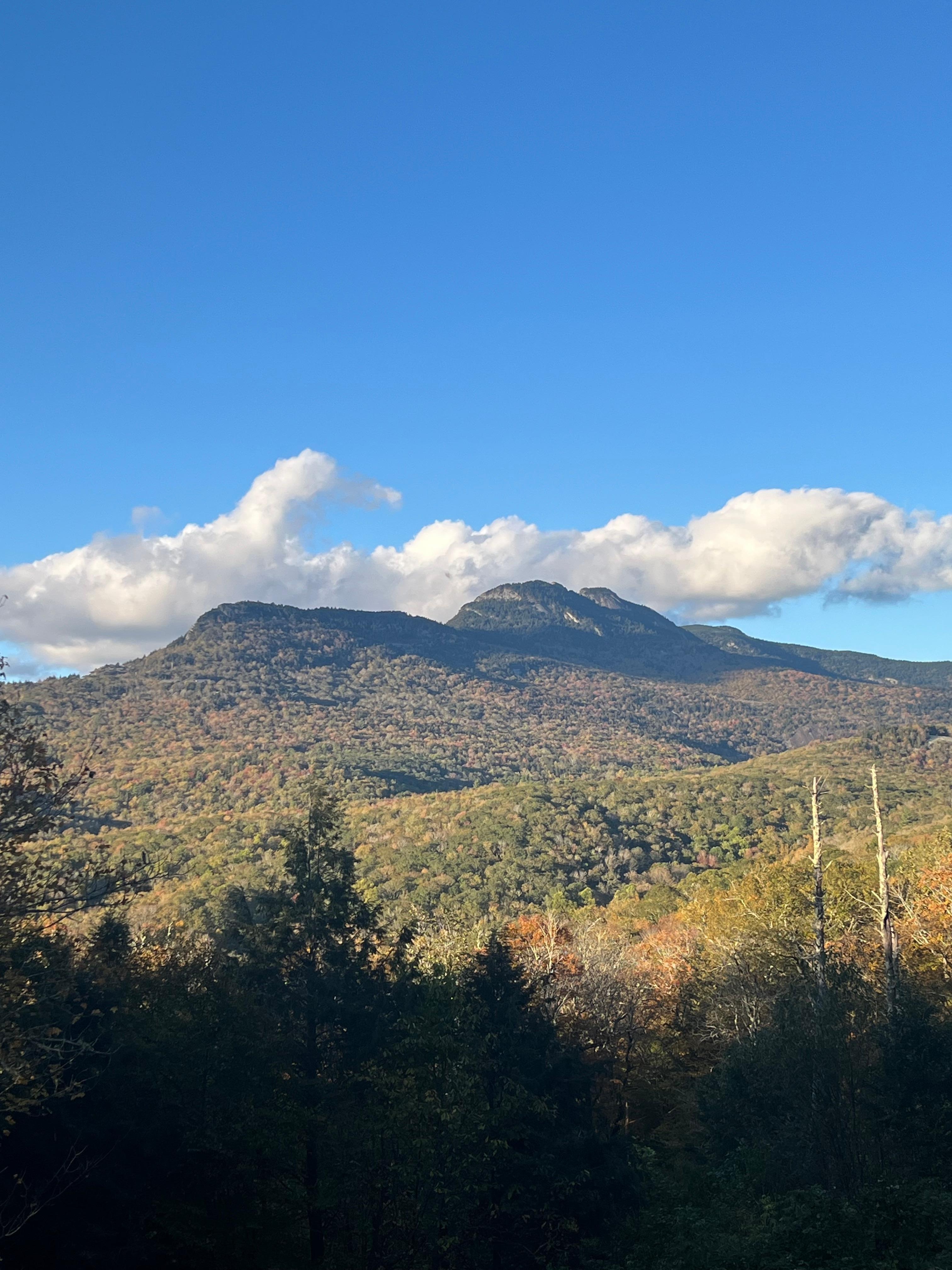 Grandfather Mountain in the distance 