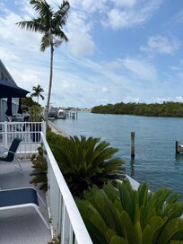 Loved watching the marine and wildlife from our lawn chairs