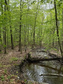 Beautiful trails
