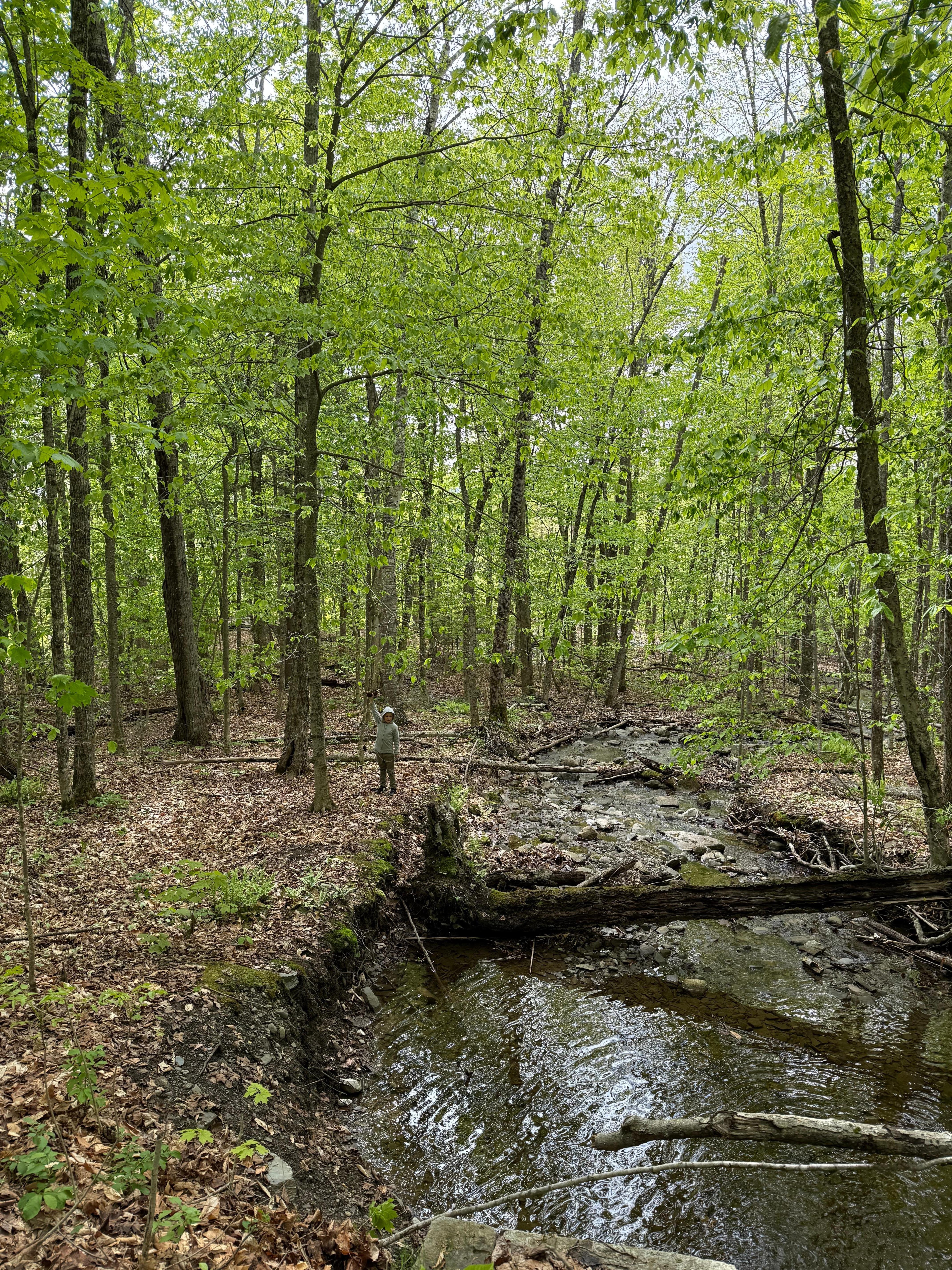 Beautiful trails