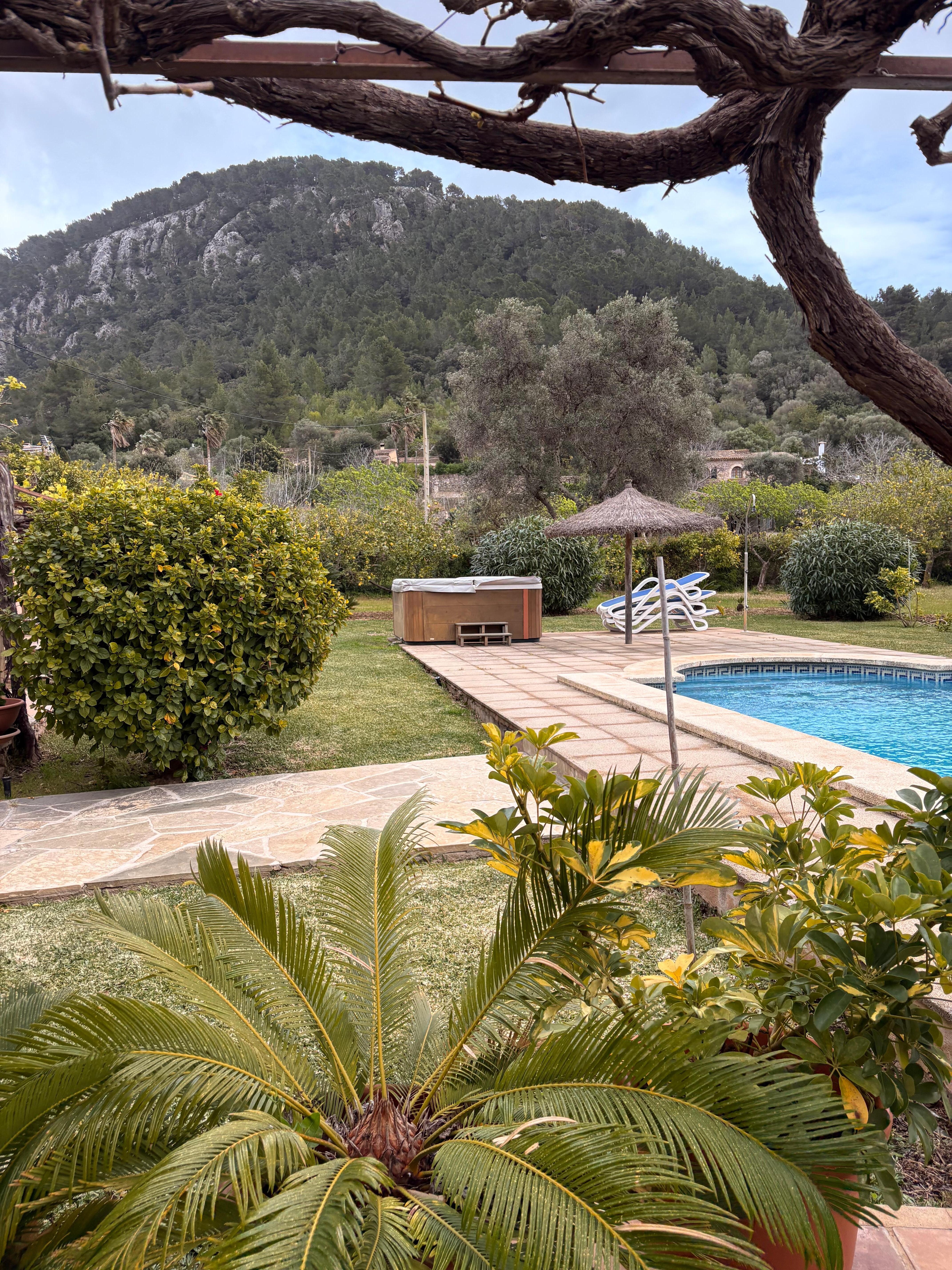 Blik vanaf de barbecue, veel privacy