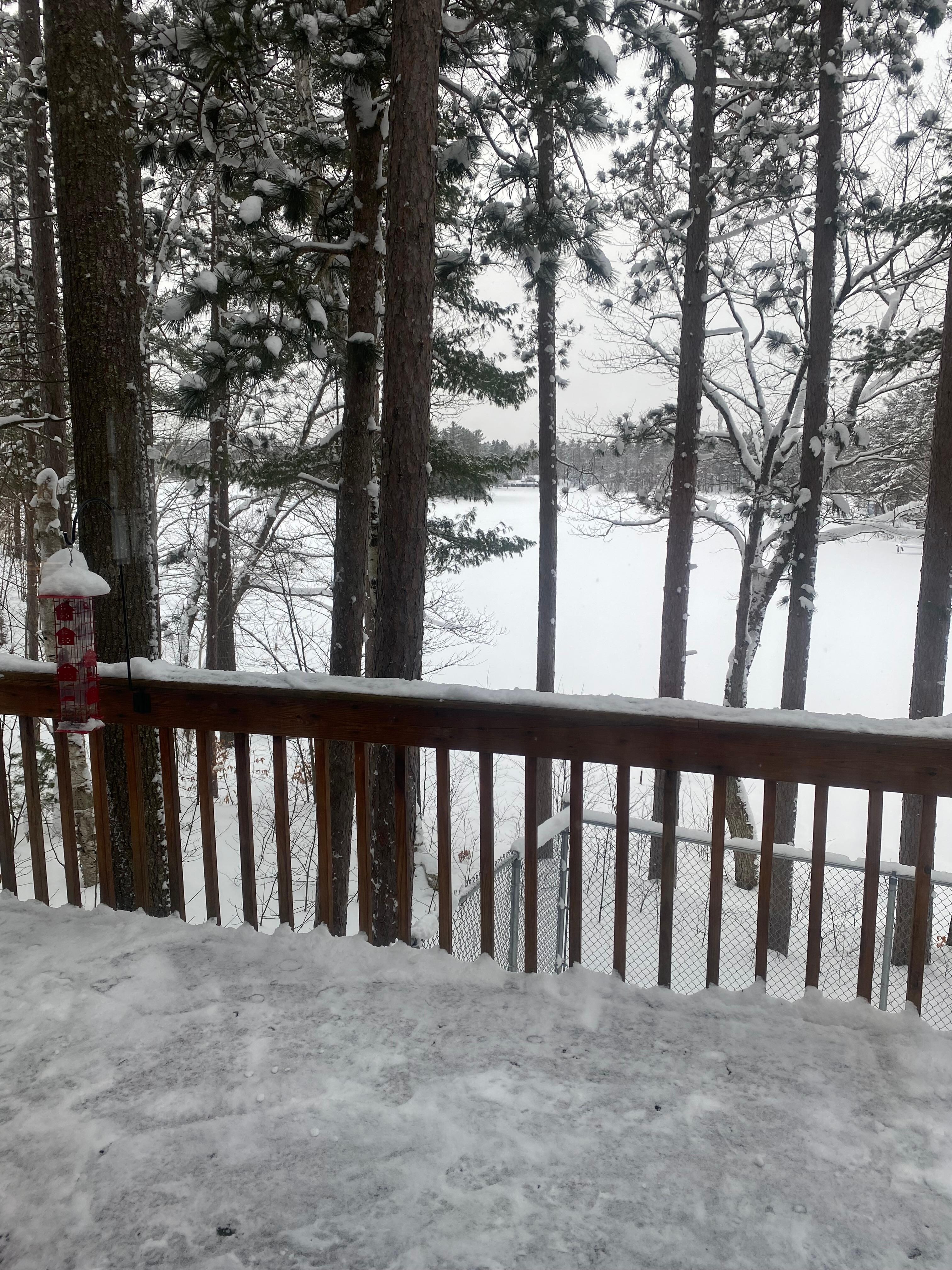 Looking out the slider window toward a frozen snow covered Lost Lake