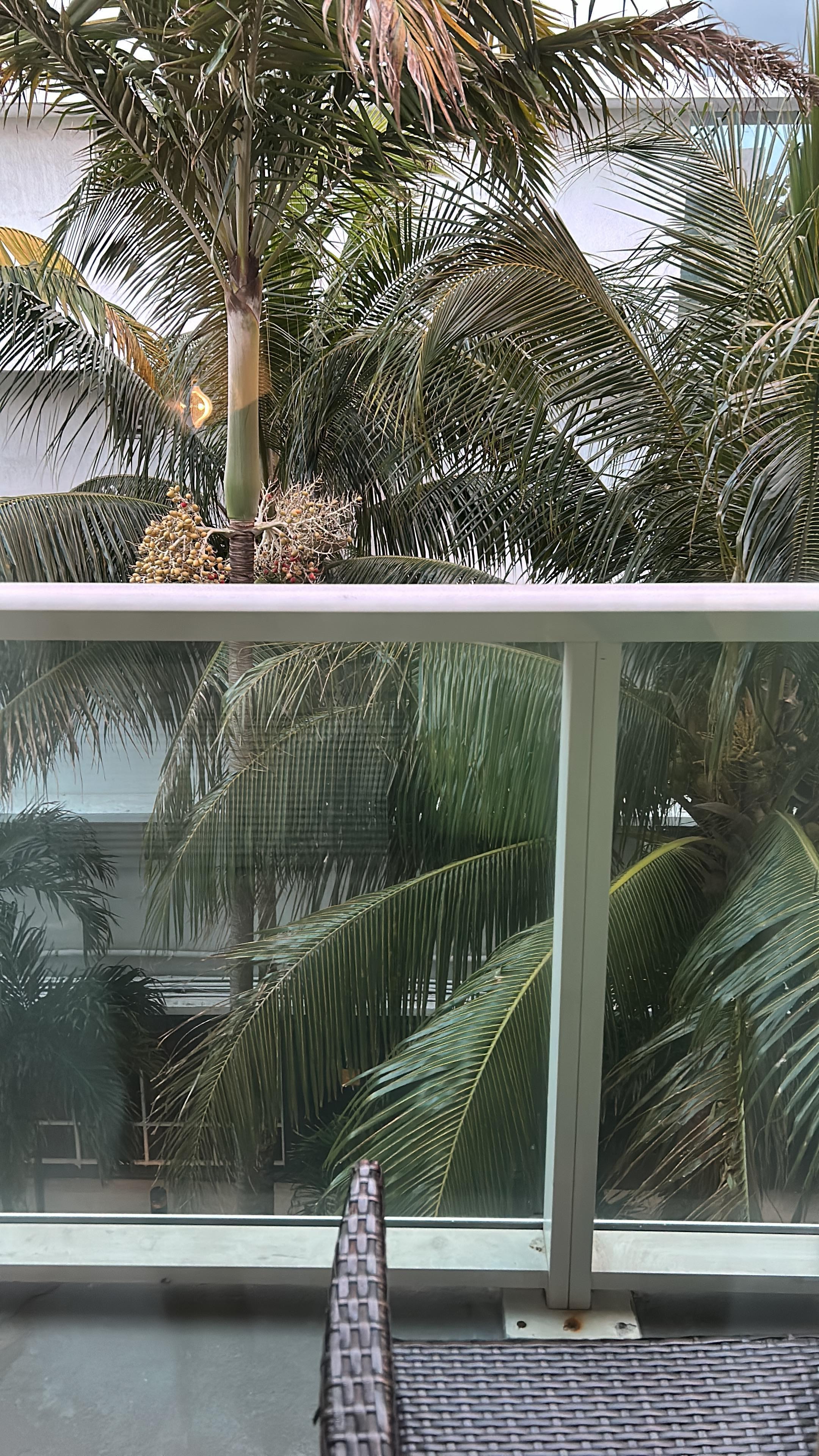 Paid extra for balcony view 