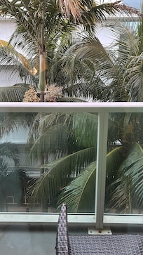 Paid extra for balcony view