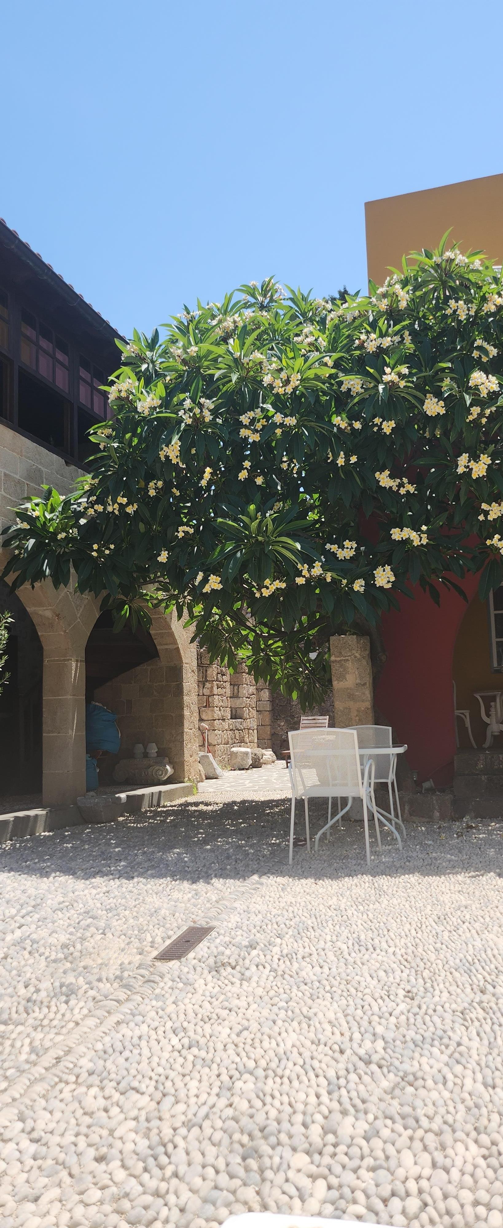 Beautiful courtyard