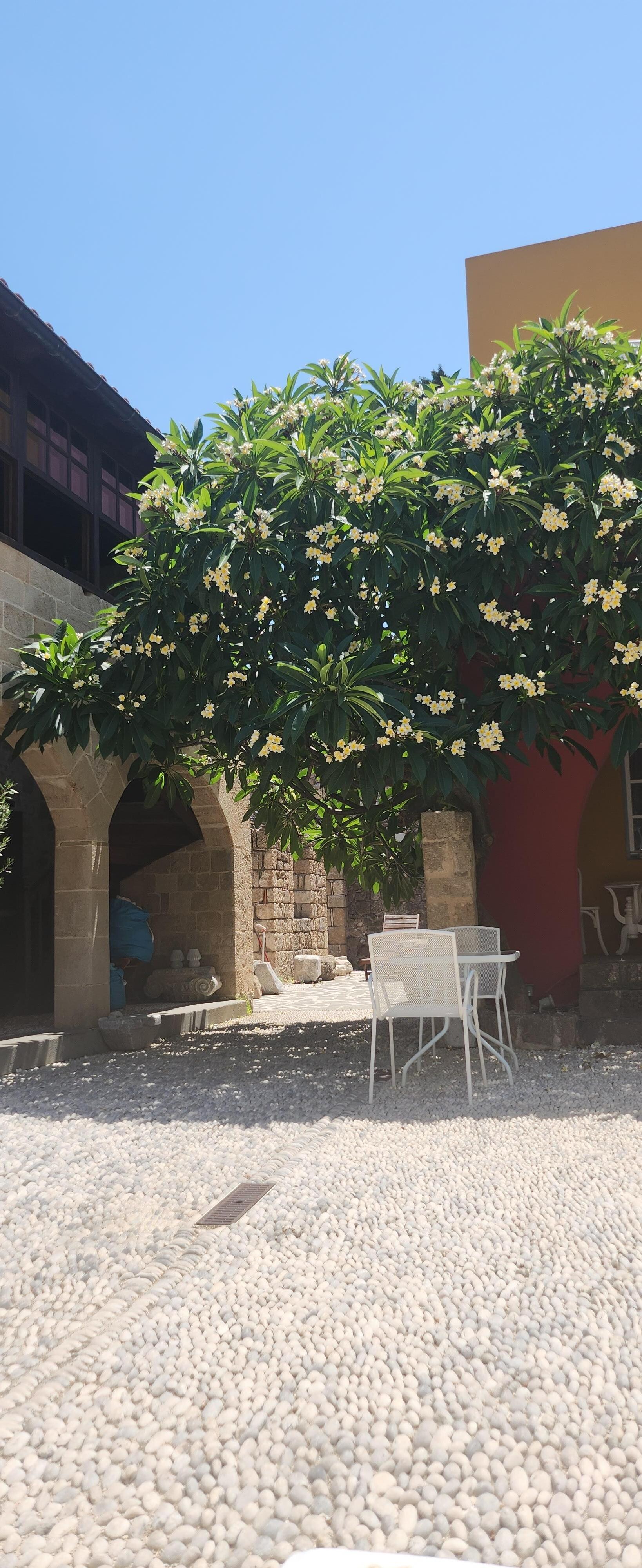 Beautiful courtyard