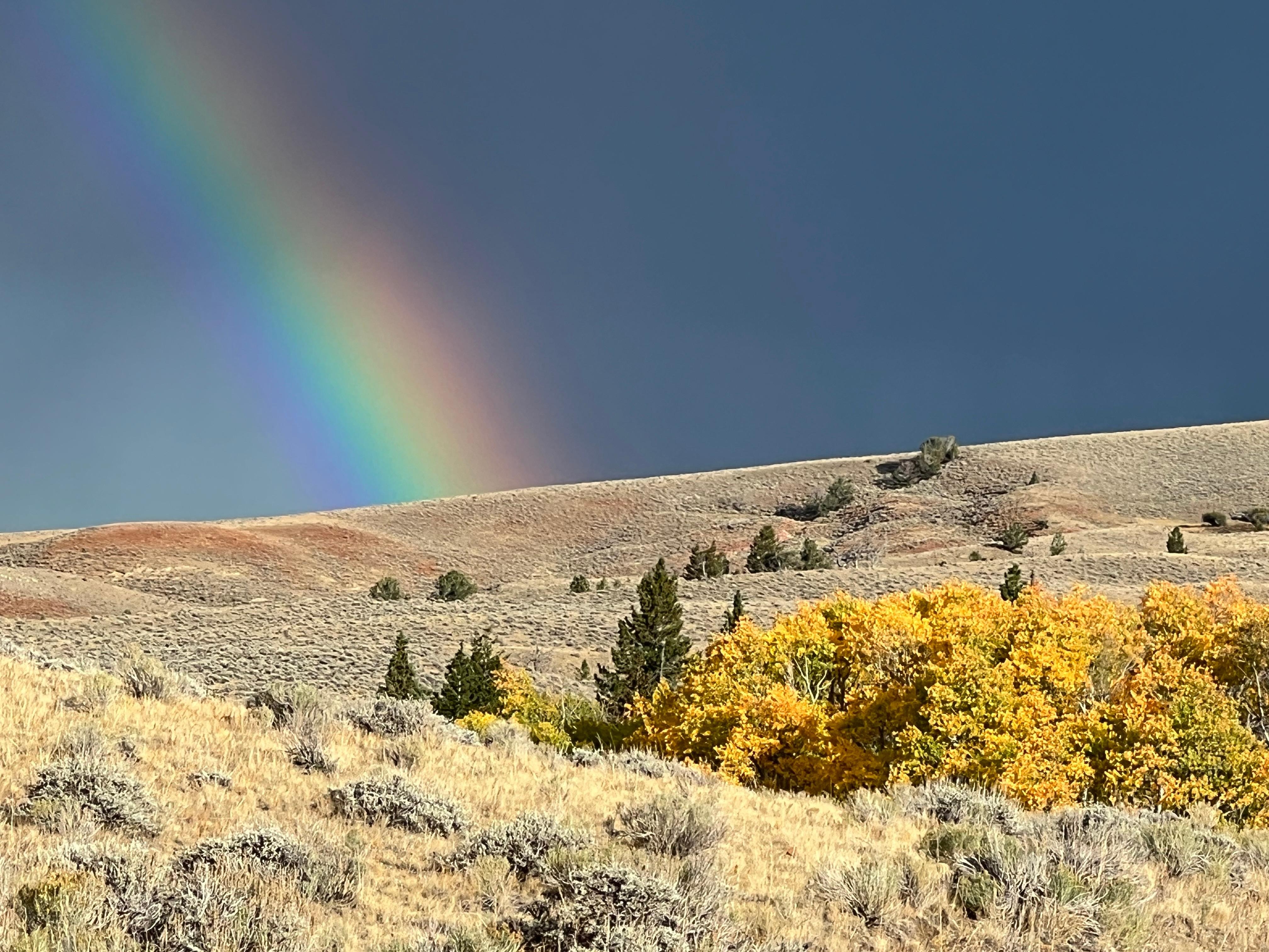 Rainbow with fall colors