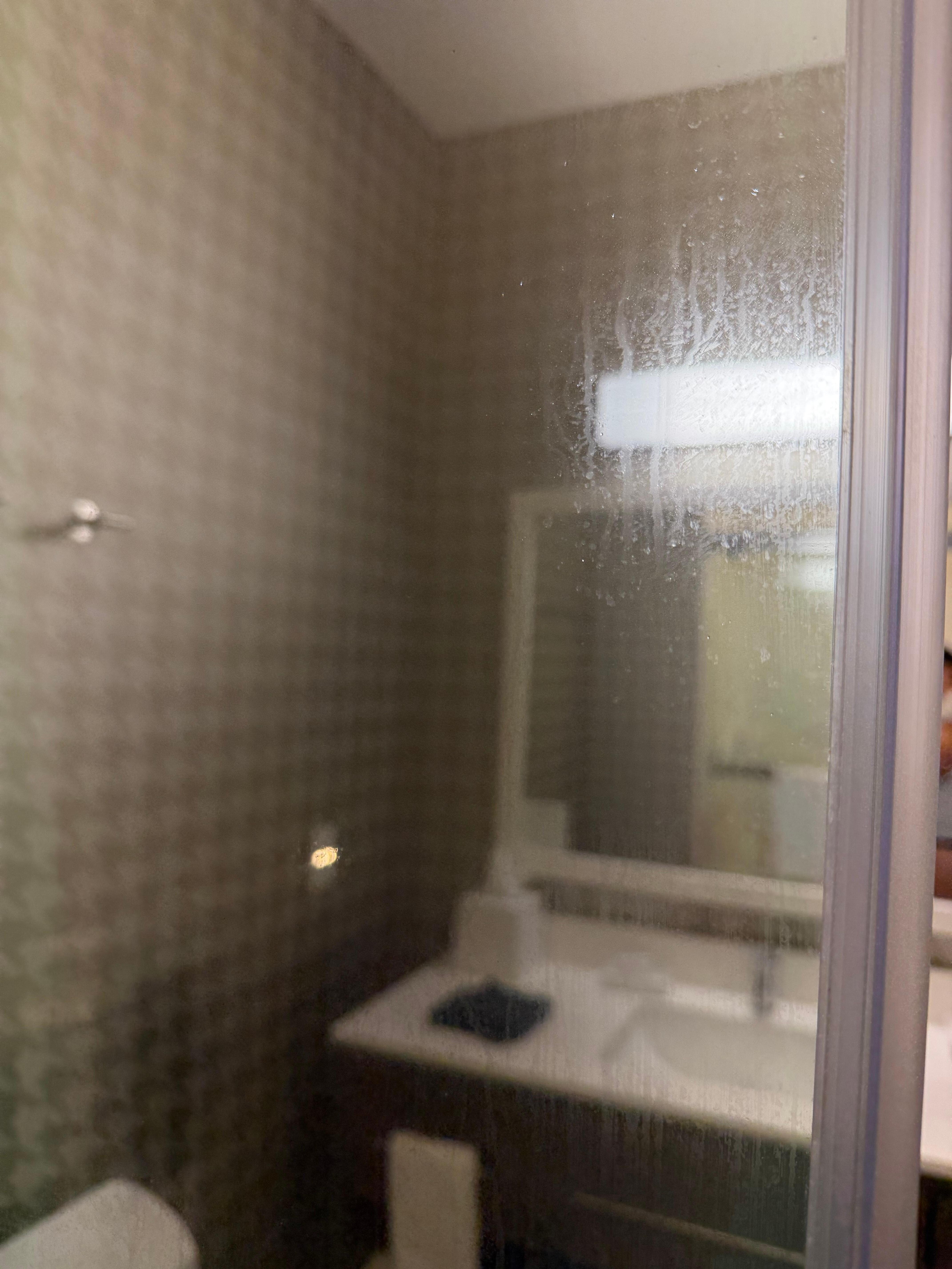 Filthy shower door