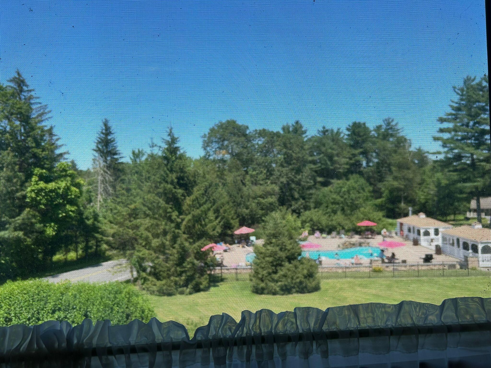 View from the room