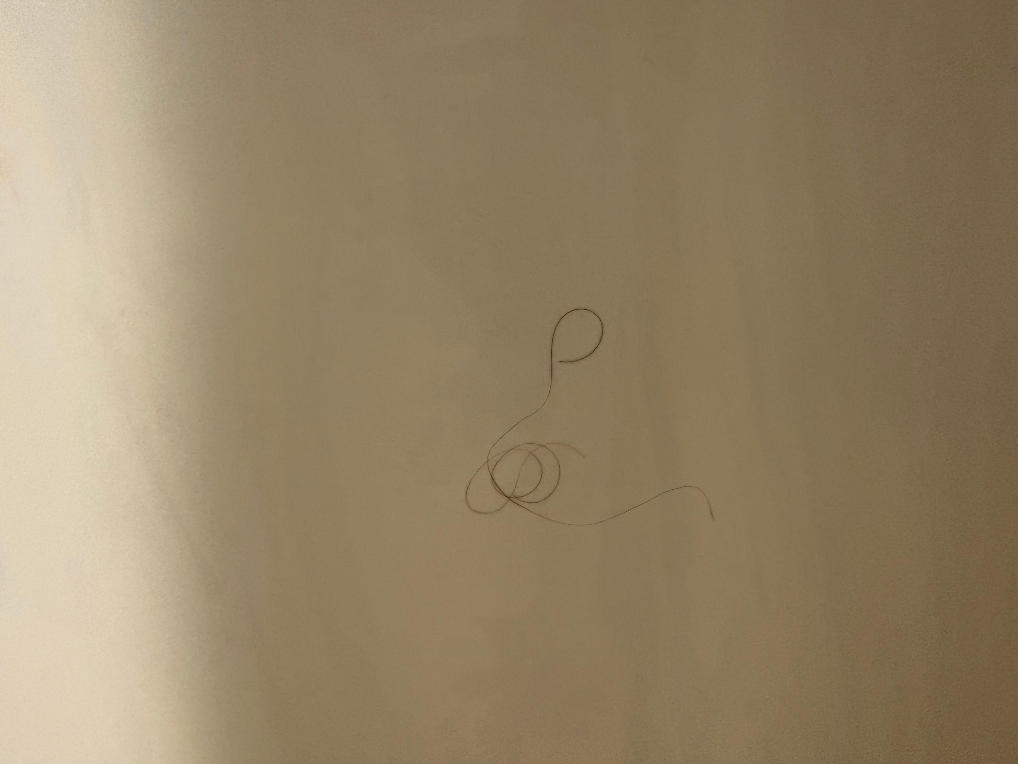 Hair on shower wall