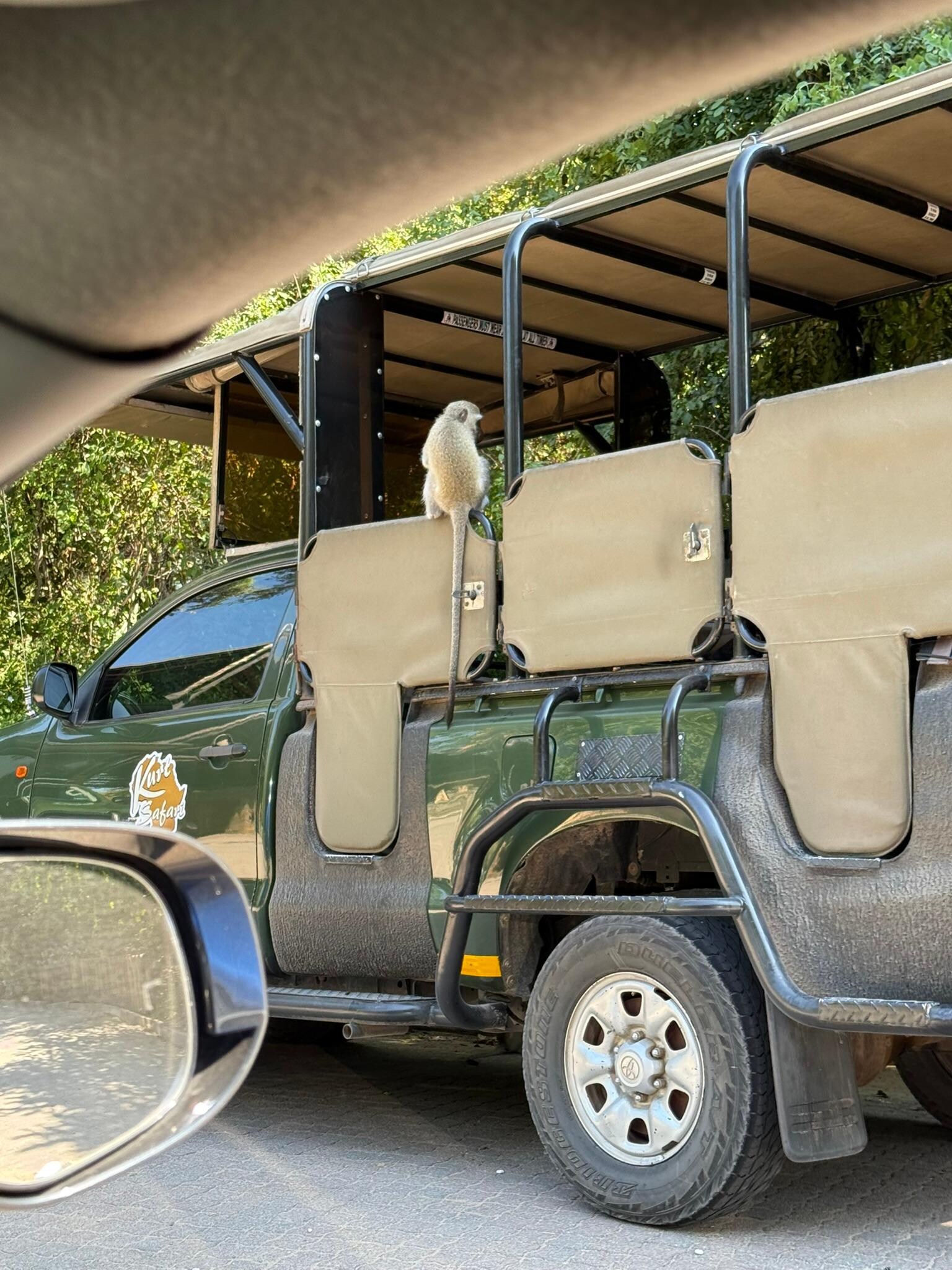 Safari truck