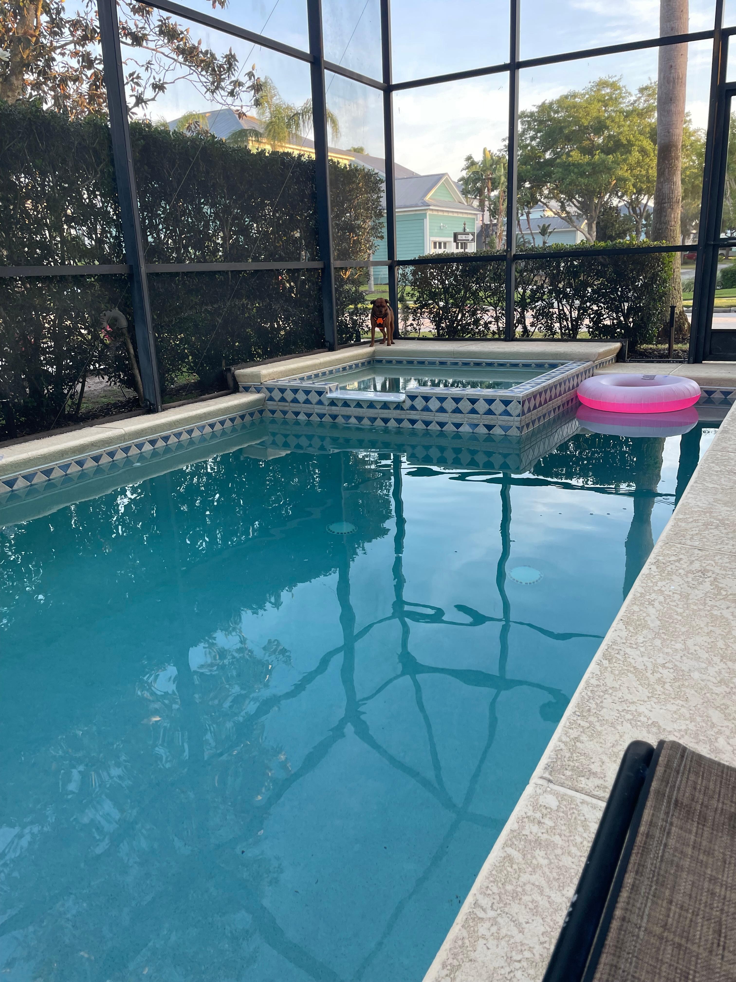 Pool/spa