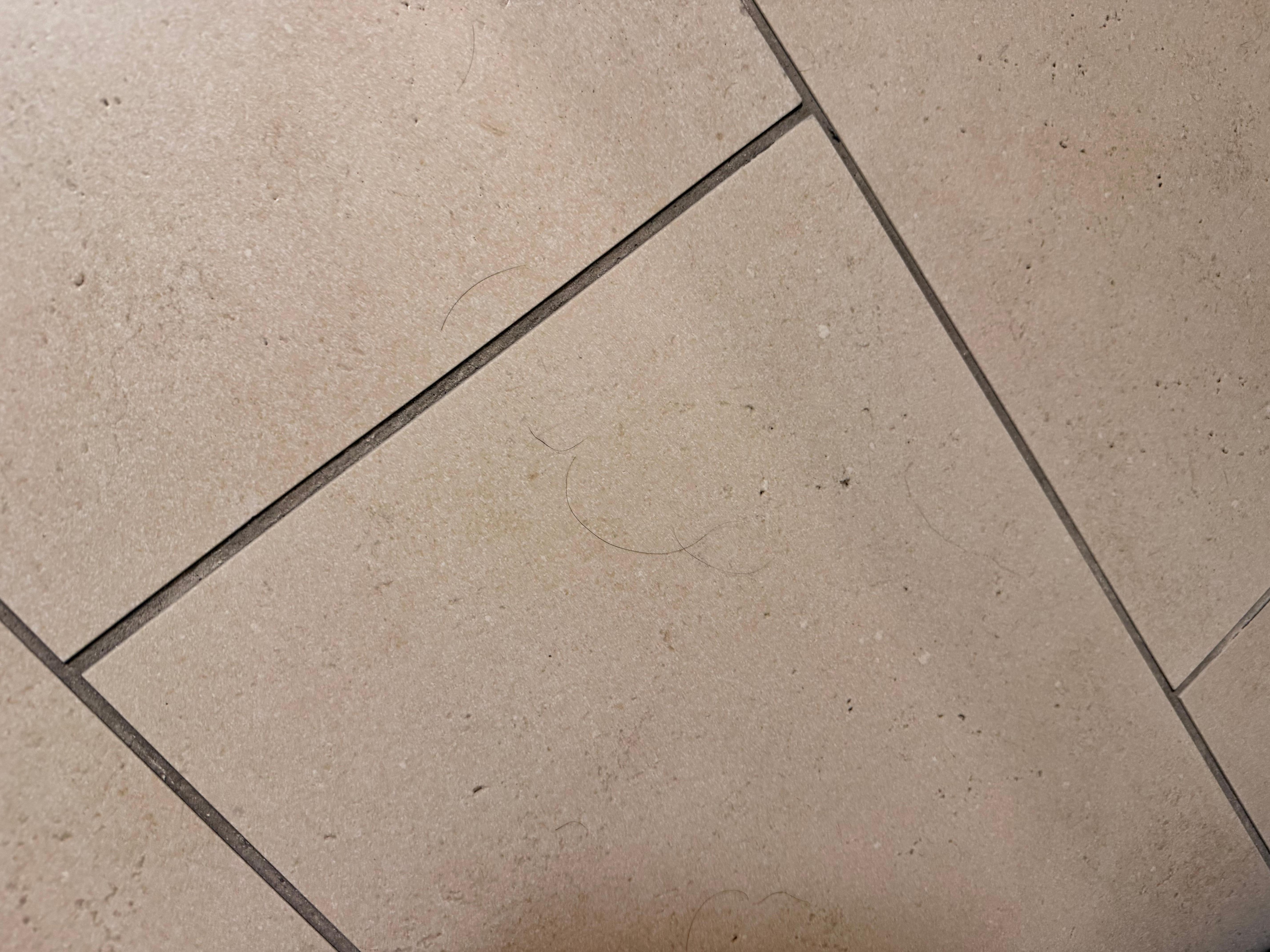 More hair & pubic hair on the bathroom floor upon arrival.