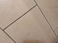 More hair & pubic hair on the bathroom floor upon arrival.