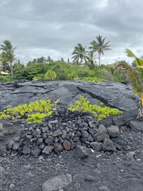 Walk to black sand/lava beach amazing!
