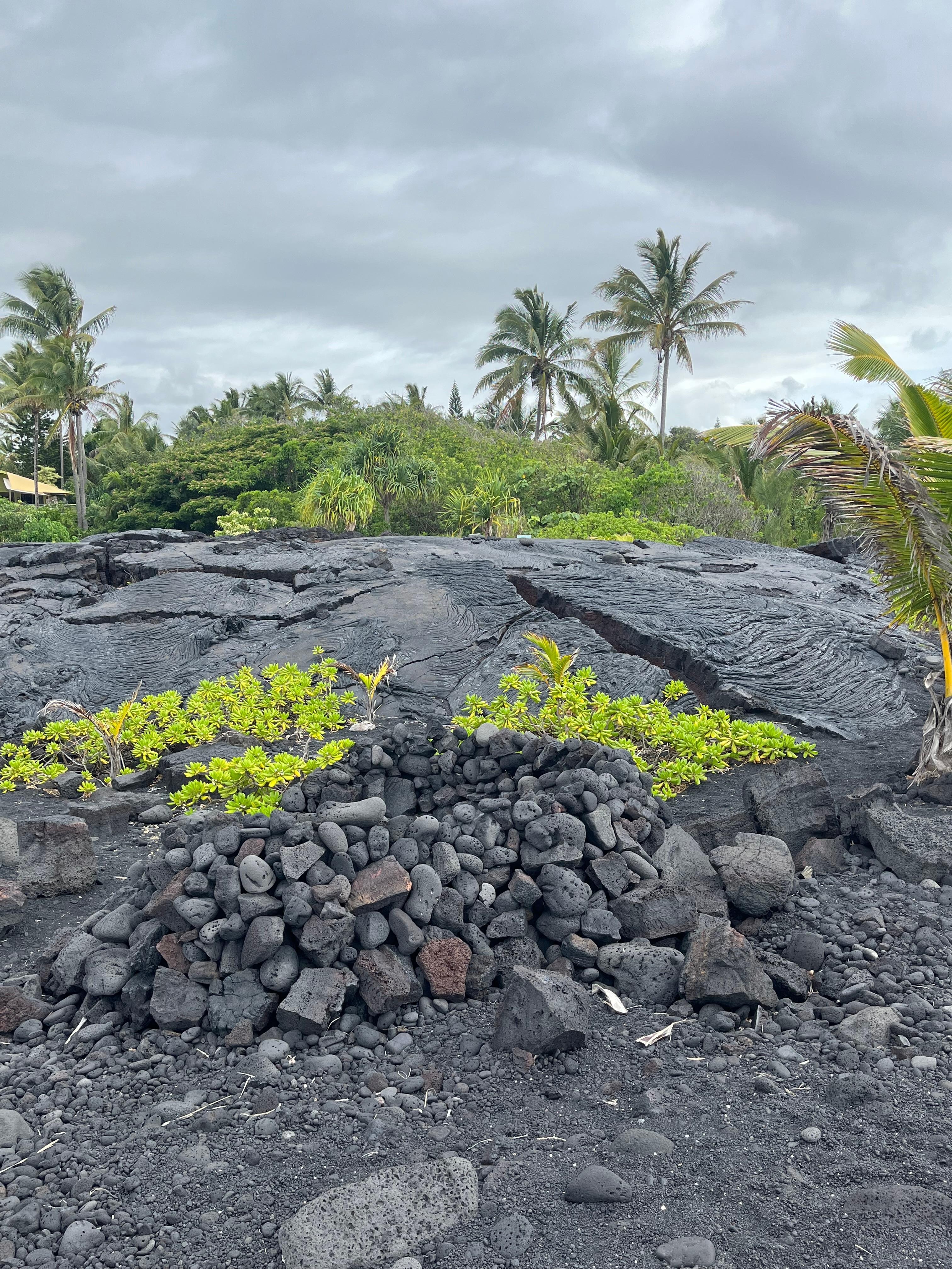 Walk to black sand/lava beach amazing!