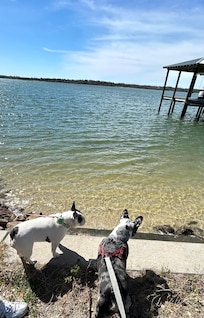 The river is just a block from the house so we could see it on our walks!