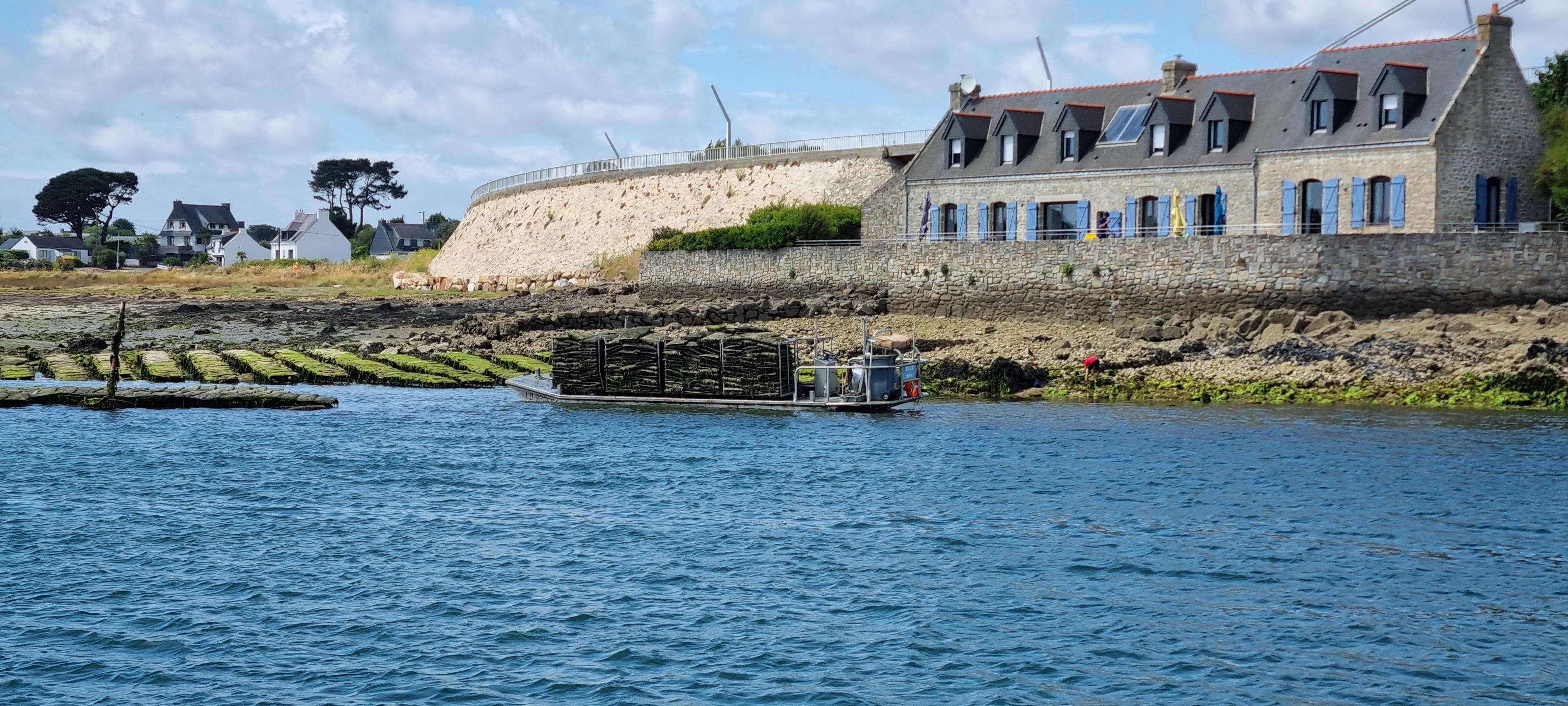 Des huîtres, des huîtres, des huîtres ...