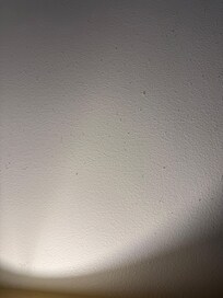 On wall above light in main bedroom