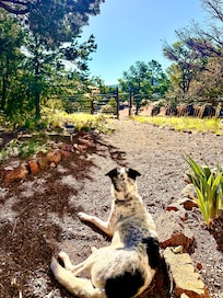 Nava welcoming the morning anticipating another day of adventure.