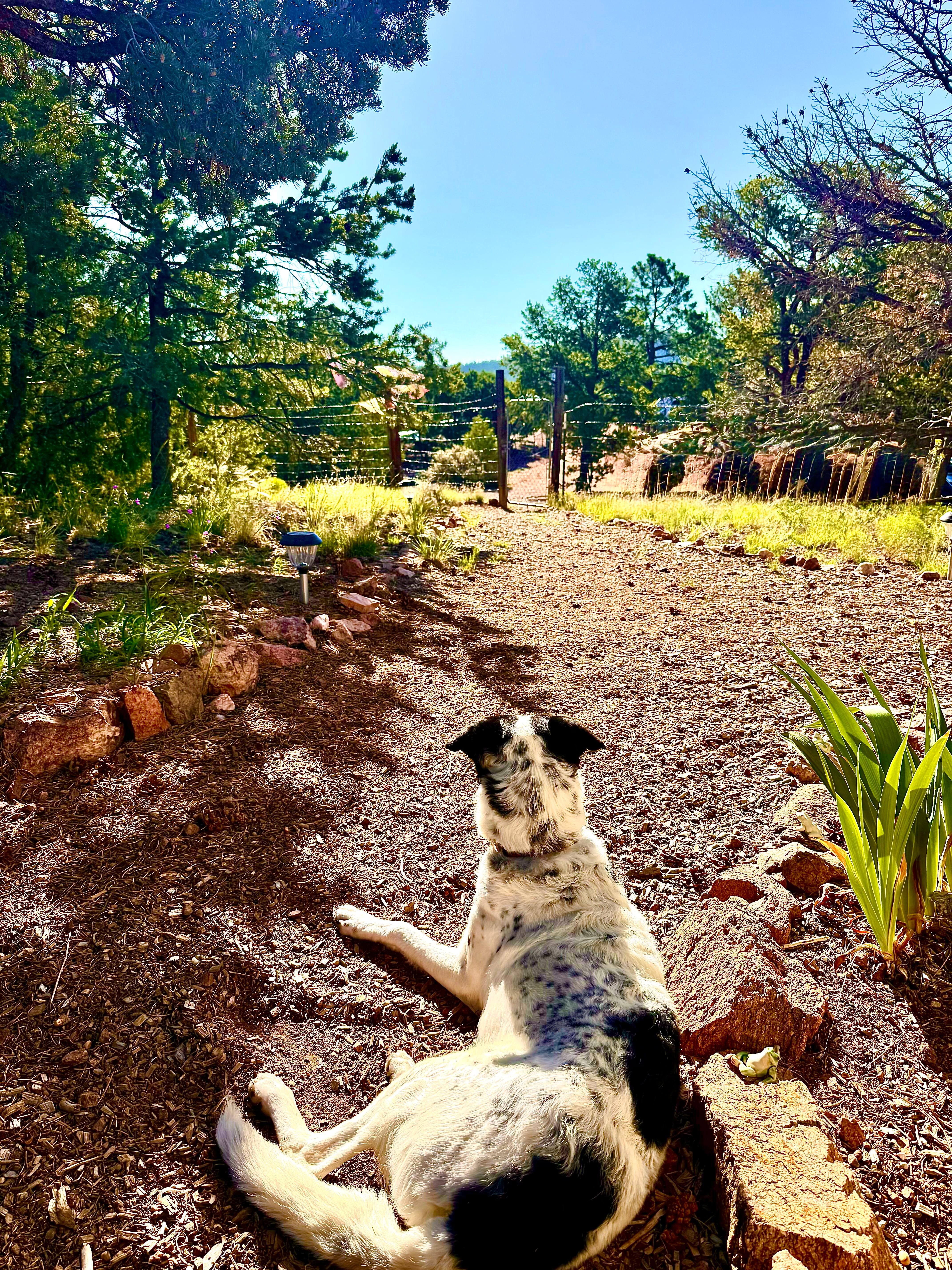 Nava welcoming the morning anticipating another day of adventure.